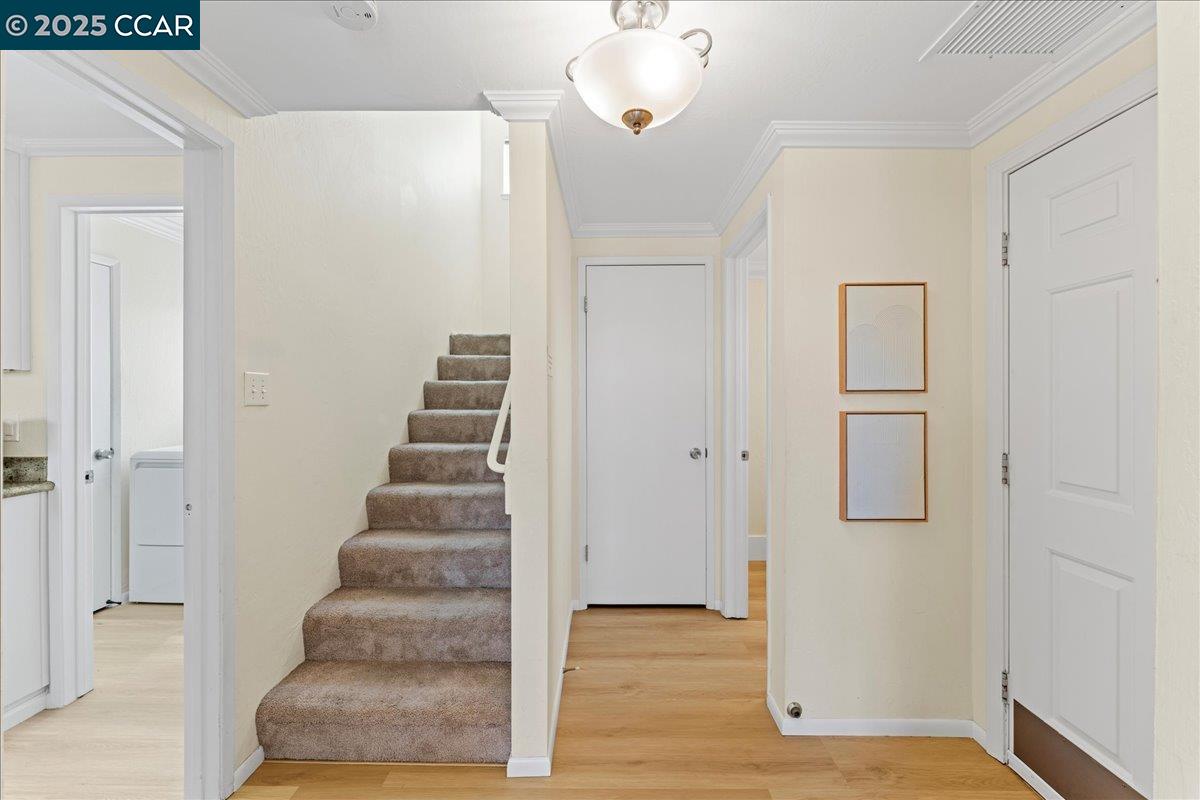 Photo #24: 41106733 Listing: Photo #24
