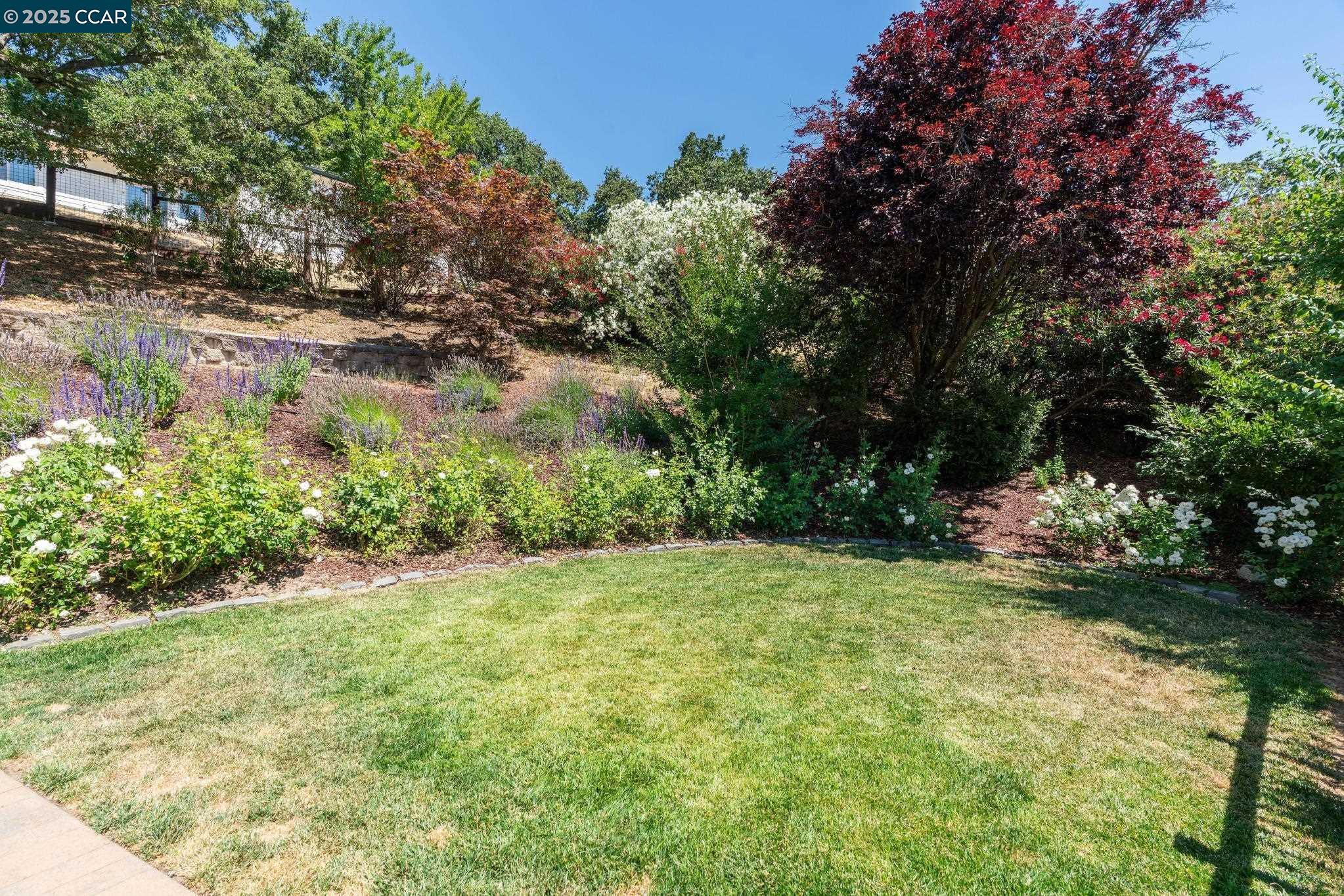 3555 Old Mountain View Dr, Lafayette, California 94549, 5 Bedrooms Bedrooms, 10 Rooms Rooms,3 BathroomsBathrooms,Residential Lease,For Rent,3555 Old Mountain View Dr,41106741