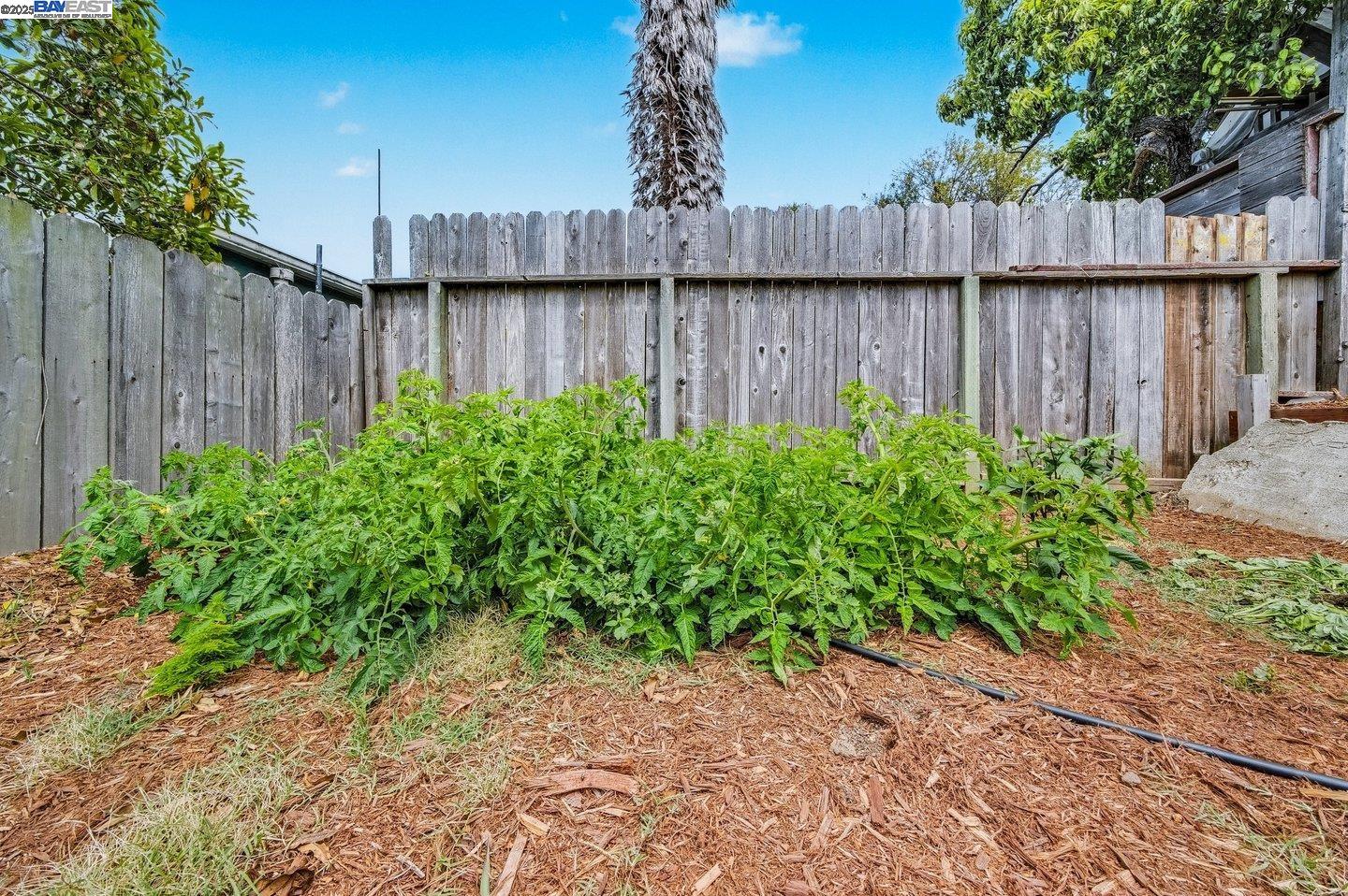 Detail Gallery Image 52 of 60 For 1541 Merced Street, Richmond,  CA 94804 - 2 Beds | 1 Baths