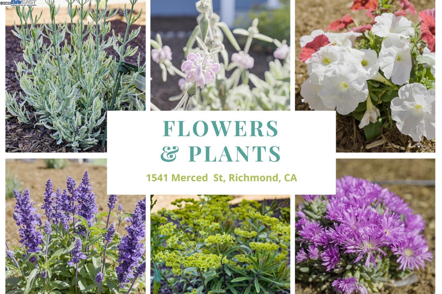 Detail Gallery Image 54 of 60 For 1541 Merced Street, Richmond,  CA 94804 - 2 Beds | 1 Baths