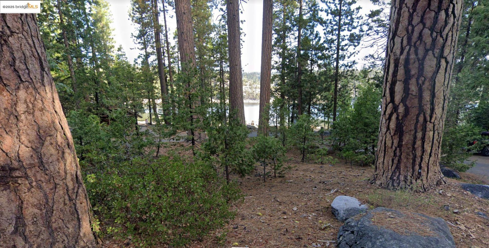 343 Lakeshore DR, Pinecrest, California 95364, 2 Bedrooms Bedrooms, 5 Rooms Rooms,2 BathroomsBathrooms,Residential,For Sale,343 Lakeshore DR,41106775