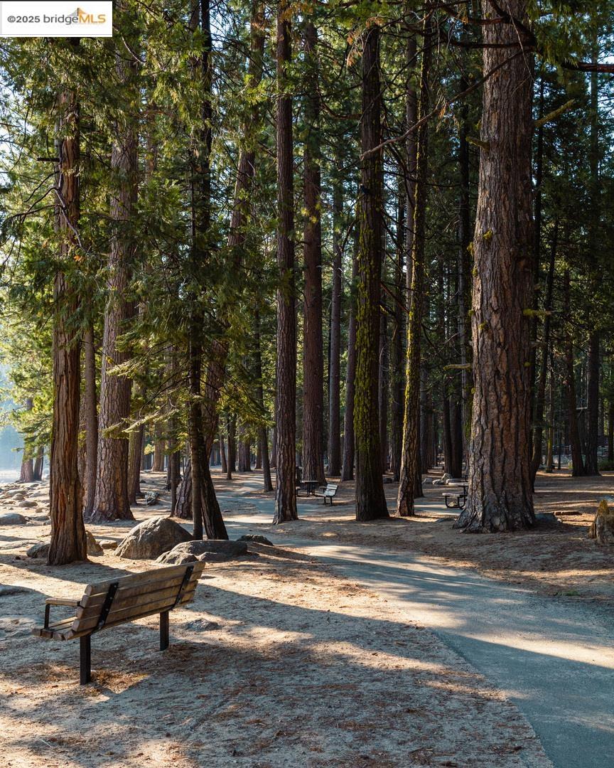 343 Lakeshore DR, Pinecrest, California 95364, 2 Bedrooms Bedrooms, 5 Rooms Rooms,2 BathroomsBathrooms,Residential,For Sale,343 Lakeshore DR,41106775