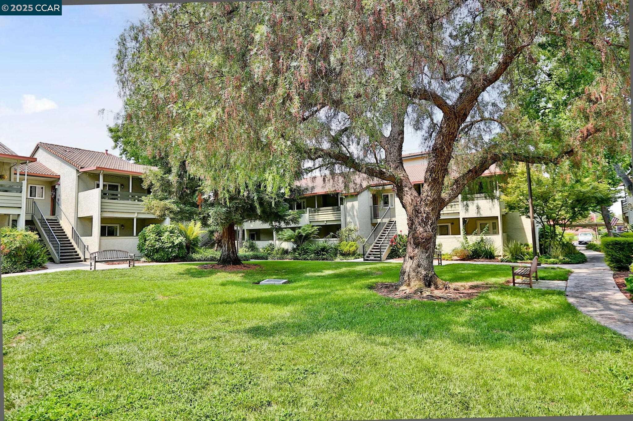 Photo #20: 41106782 Listing: Photo #20