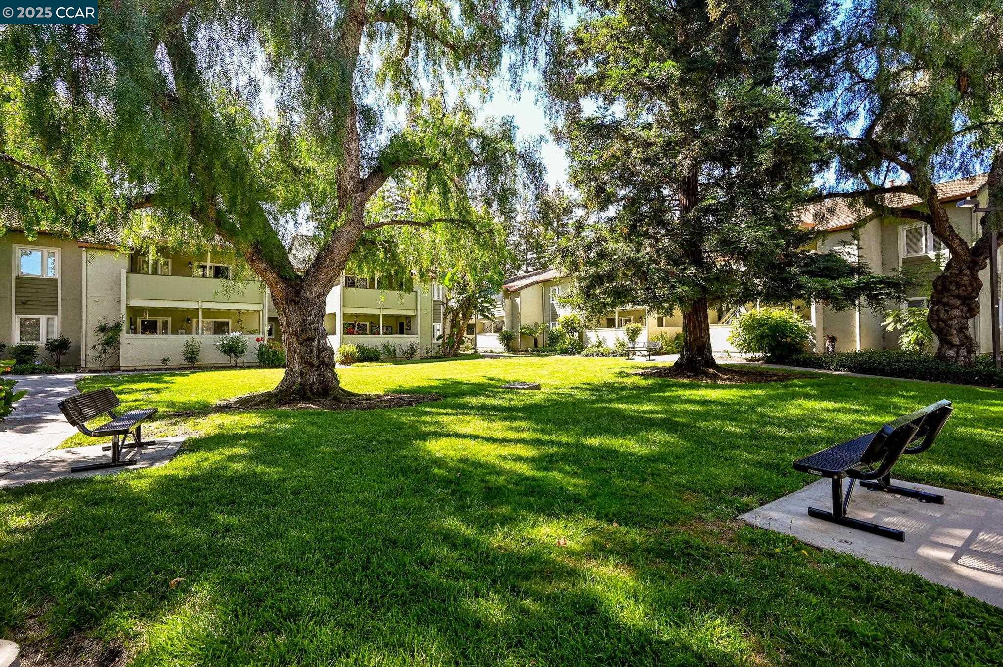 Photo #3: 41106782 Listing 