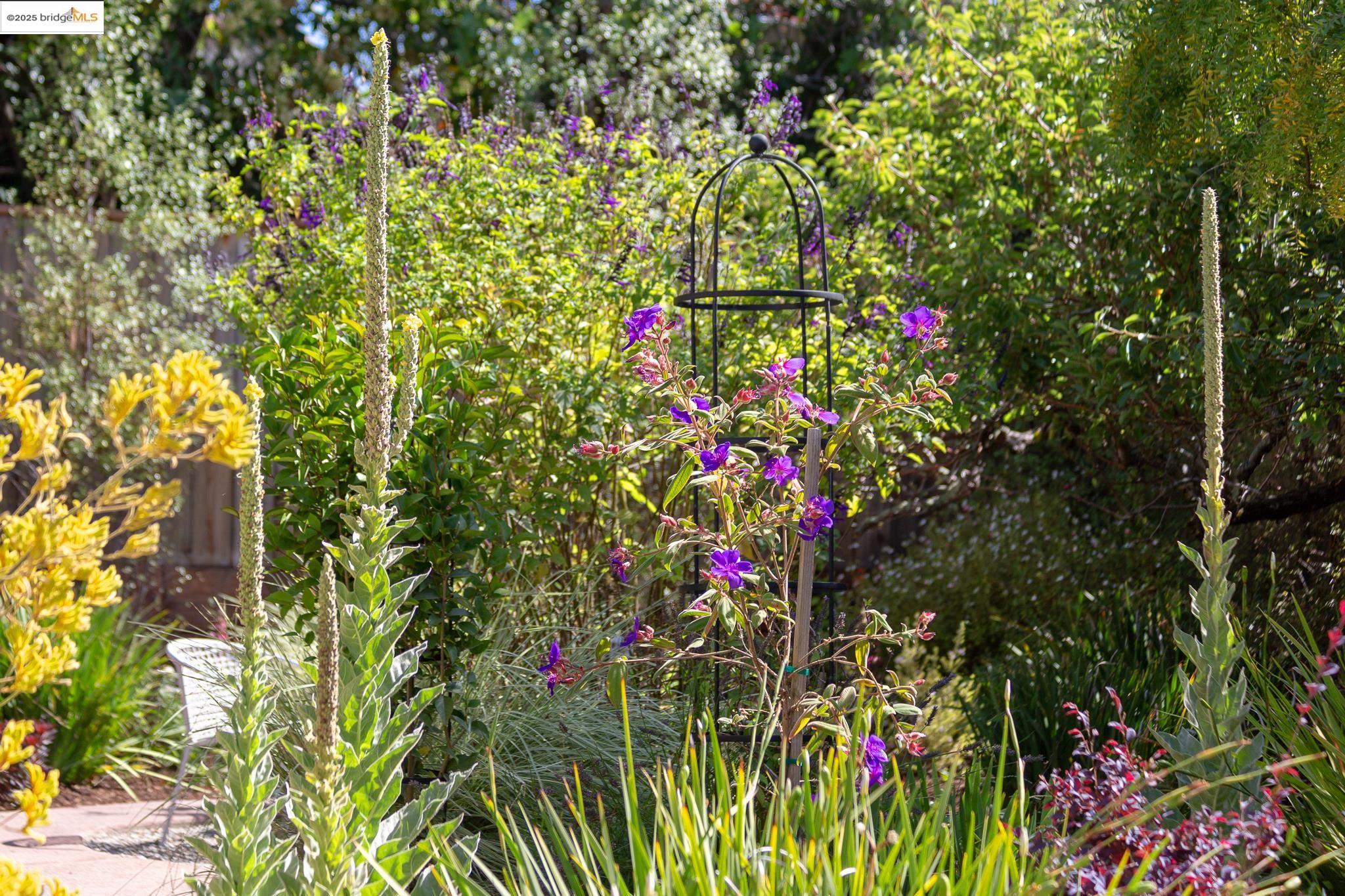 Detail Gallery Image 58 of 59 For 1145 Mandana Blvd, Oakland,  CA 94610 - 3 Beds | 2 Baths