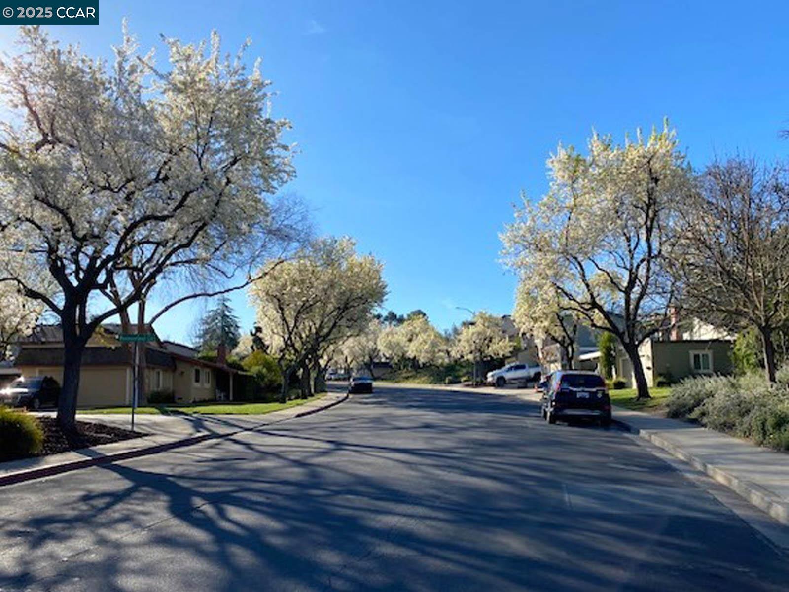 Photo #3: 41106822 Listing 