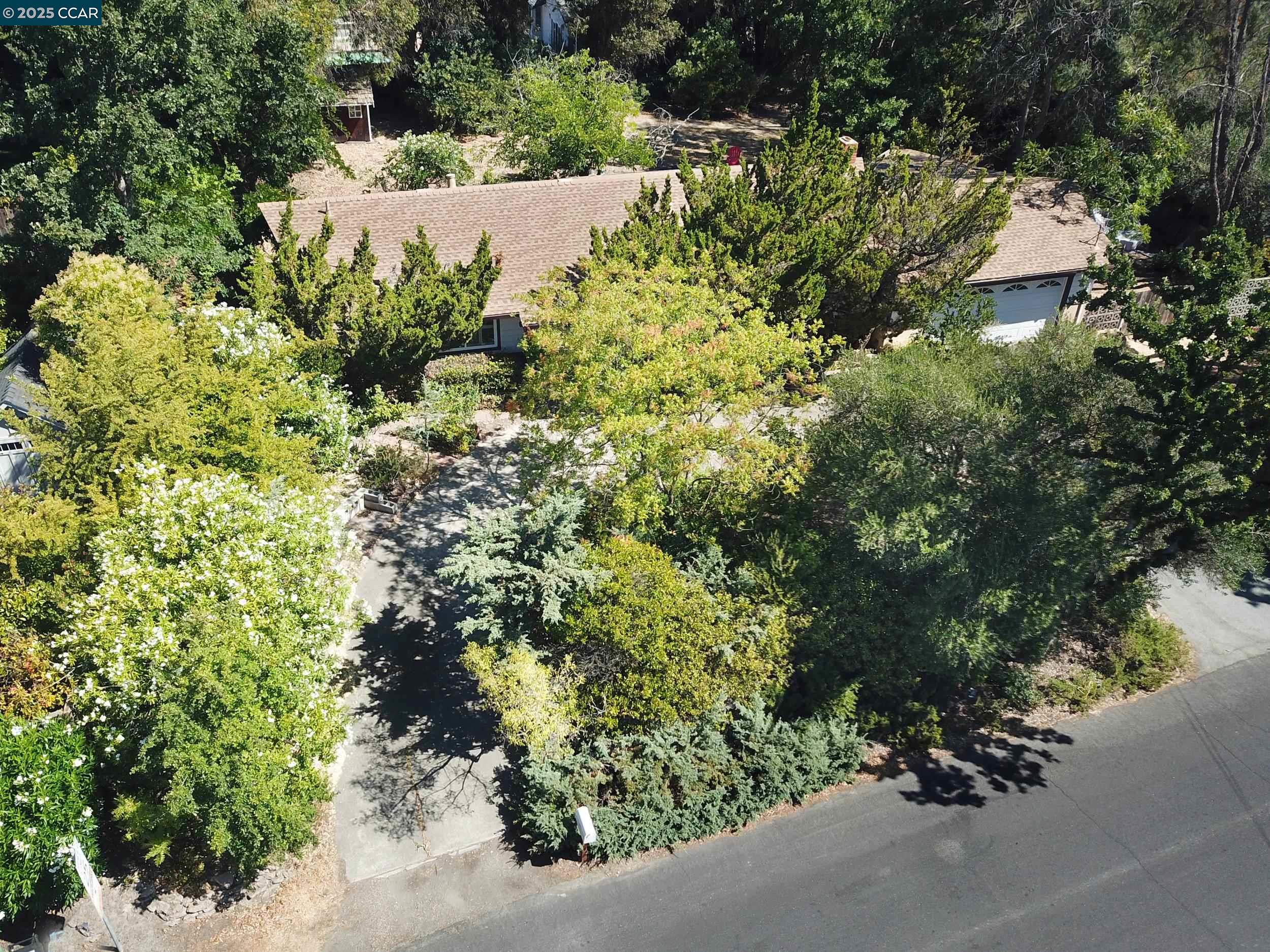 3078 Diablo View Rd, Lafayette, California 94549, 3 Bedrooms Bedrooms, 7 Rooms Rooms,2 BathroomsBathrooms,Residential,For Sale,3078 Diablo View Rd,41106824