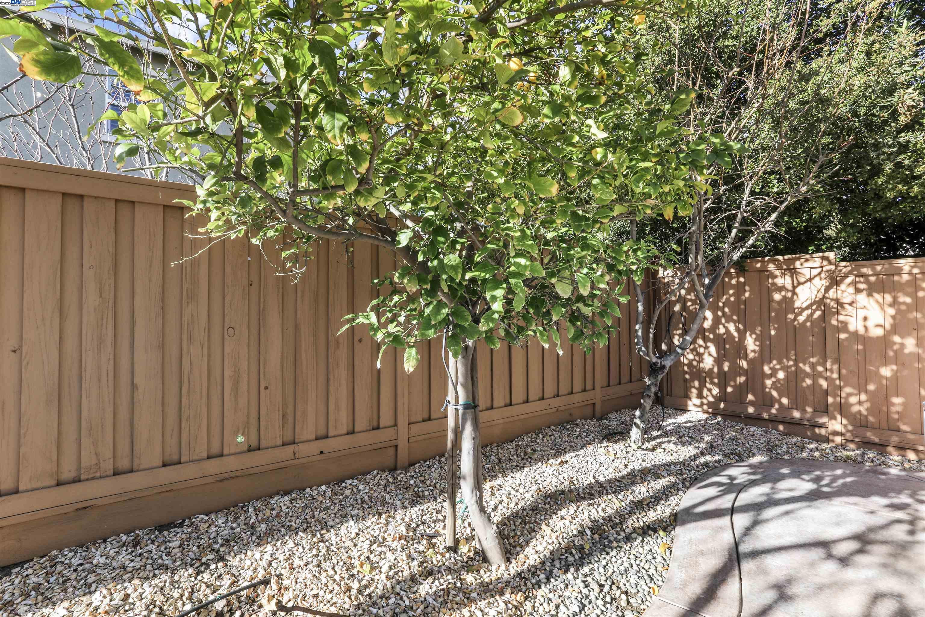 711 N PLUMAS DR, Tracy, California 95391, 4 Bedrooms Bedrooms, 4 Rooms Rooms,3 BathroomsBathrooms,Residential,For Sale,711 N PLUMAS DR,41106829