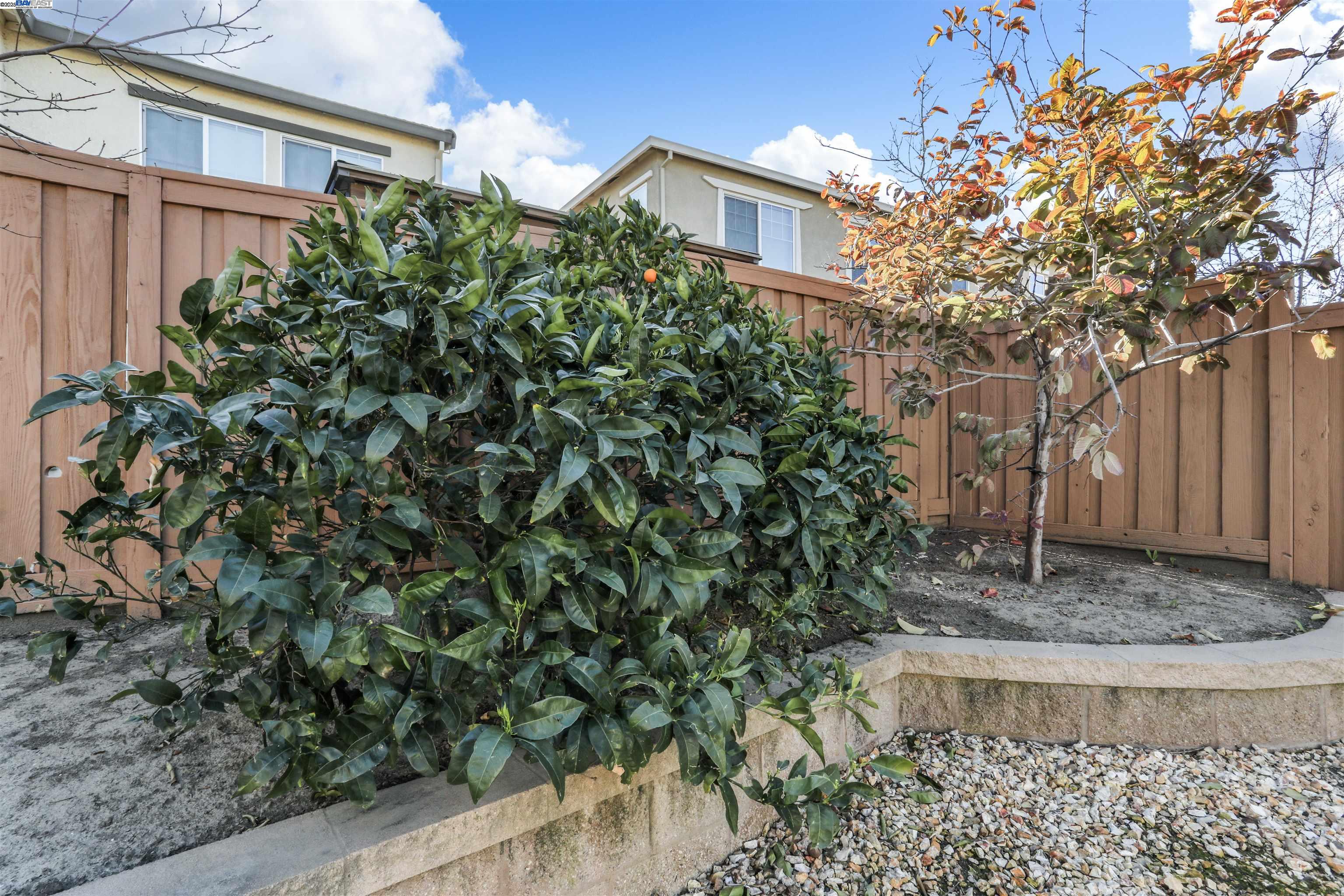 711 N PLUMAS DR, Tracy, California 95391, 4 Bedrooms Bedrooms, 4 Rooms Rooms,3 BathroomsBathrooms,Residential,For Sale,711 N PLUMAS DR,41106829