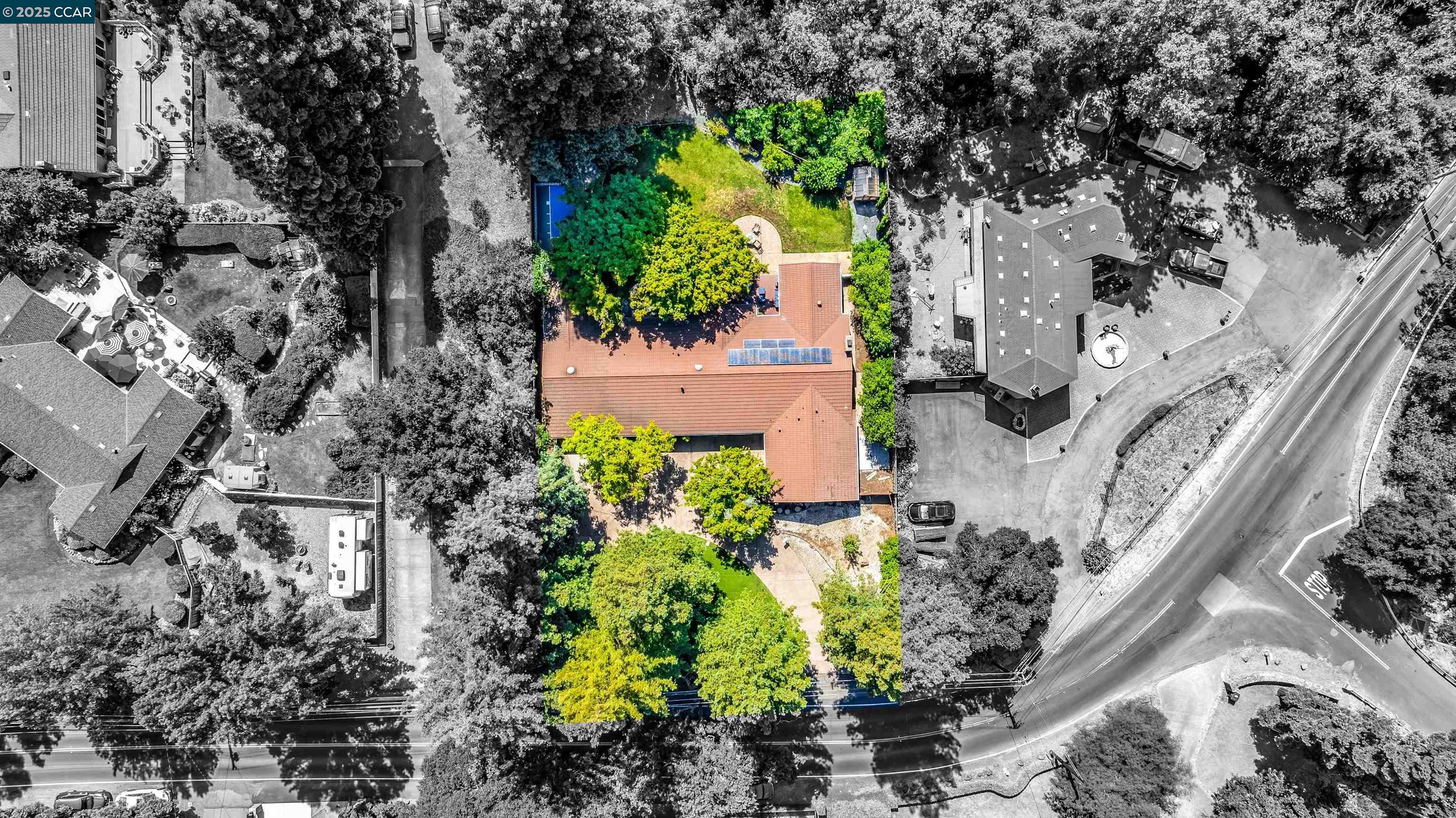5104 Alhambra Valley Rd, Martinez, California 94553, 4 Bedrooms Bedrooms, 10 Rooms Rooms,3 BathroomsBathrooms,Residential,For Sale,5104 Alhambra Valley Rd,41106831