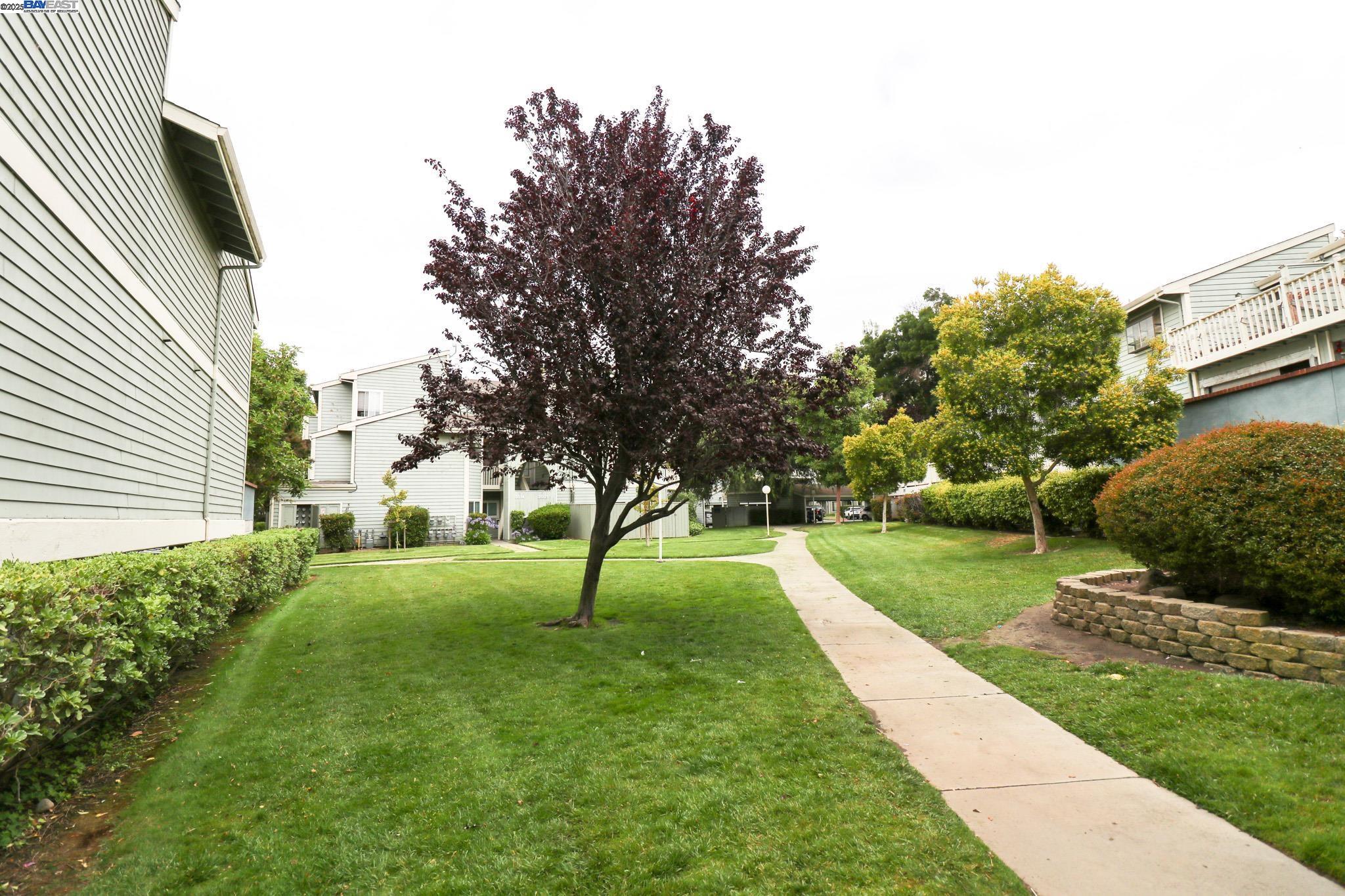 3416 Deerwood Ter # 113, Fremont, California 94536, 2 Bedrooms Bedrooms, 4 Rooms Rooms,2 BathroomsBathrooms,Residential,For Sale,3416 Deerwood Ter # 113,41106833