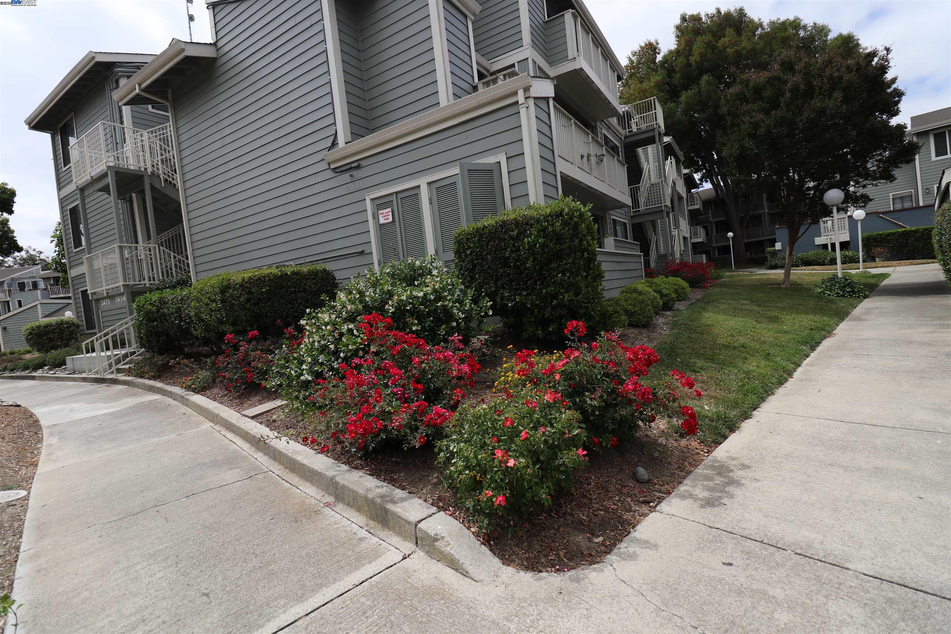 3416 Deerwood Ter # 113, Fremont, California 94536, 2 Bedrooms Bedrooms, 4 Rooms Rooms,2 BathroomsBathrooms,Residential,For Sale,3416 Deerwood Ter # 113,41106833
