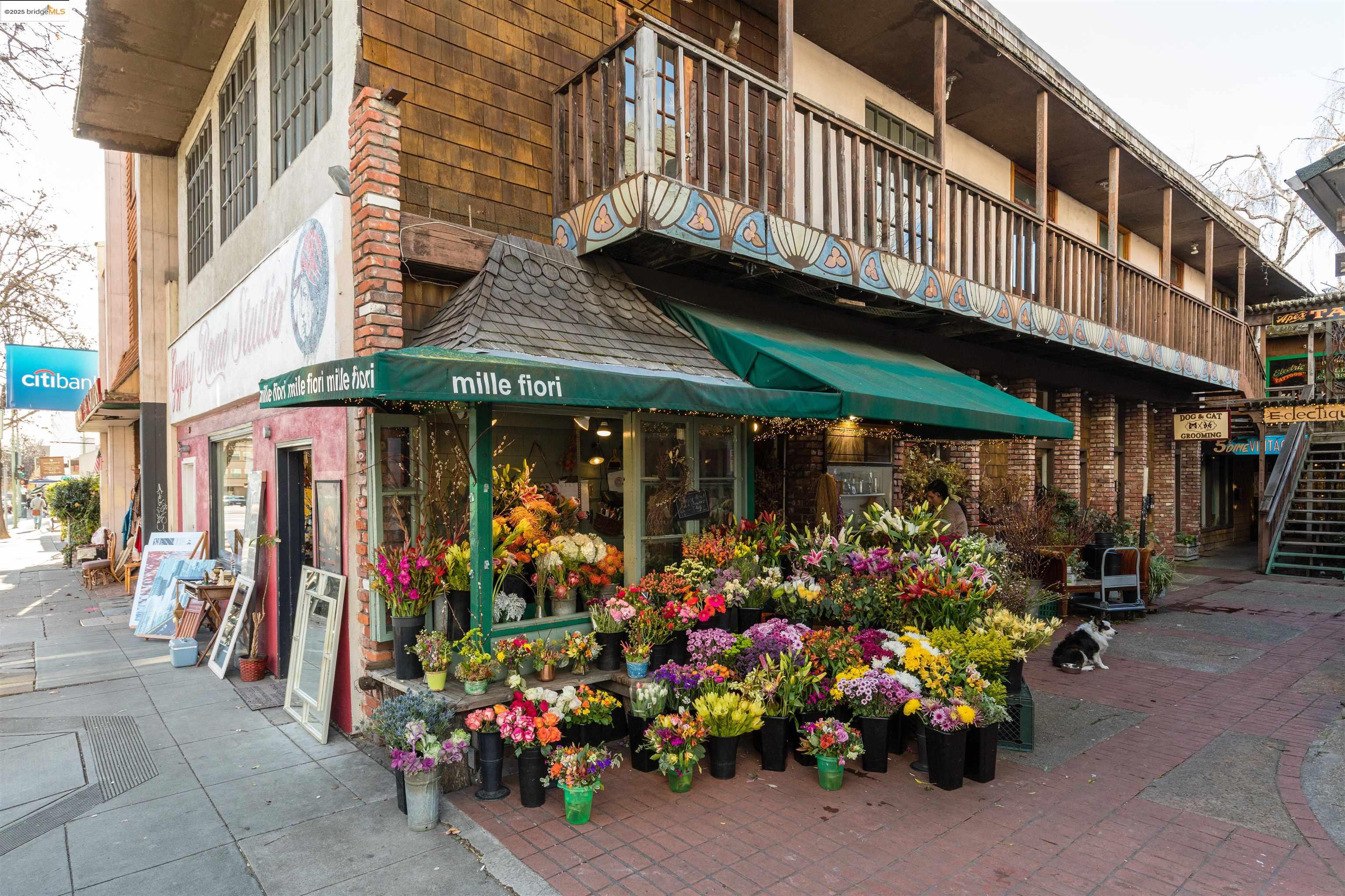 3877 Howe St # 206, Oakland, California 94611, 2 Bedrooms Bedrooms, 4 Rooms Rooms,1 BathroomBathrooms,Residential,For Sale,3877 Howe St # 206,41106838