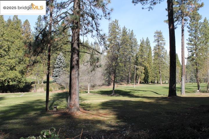 22846 Fuller Rd, Twain Harte, California 95383, 2 Bedrooms Bedrooms, 2 Rooms Rooms,1 BathroomBathrooms,Residential,For Sale,22846 Fuller Rd,41106839