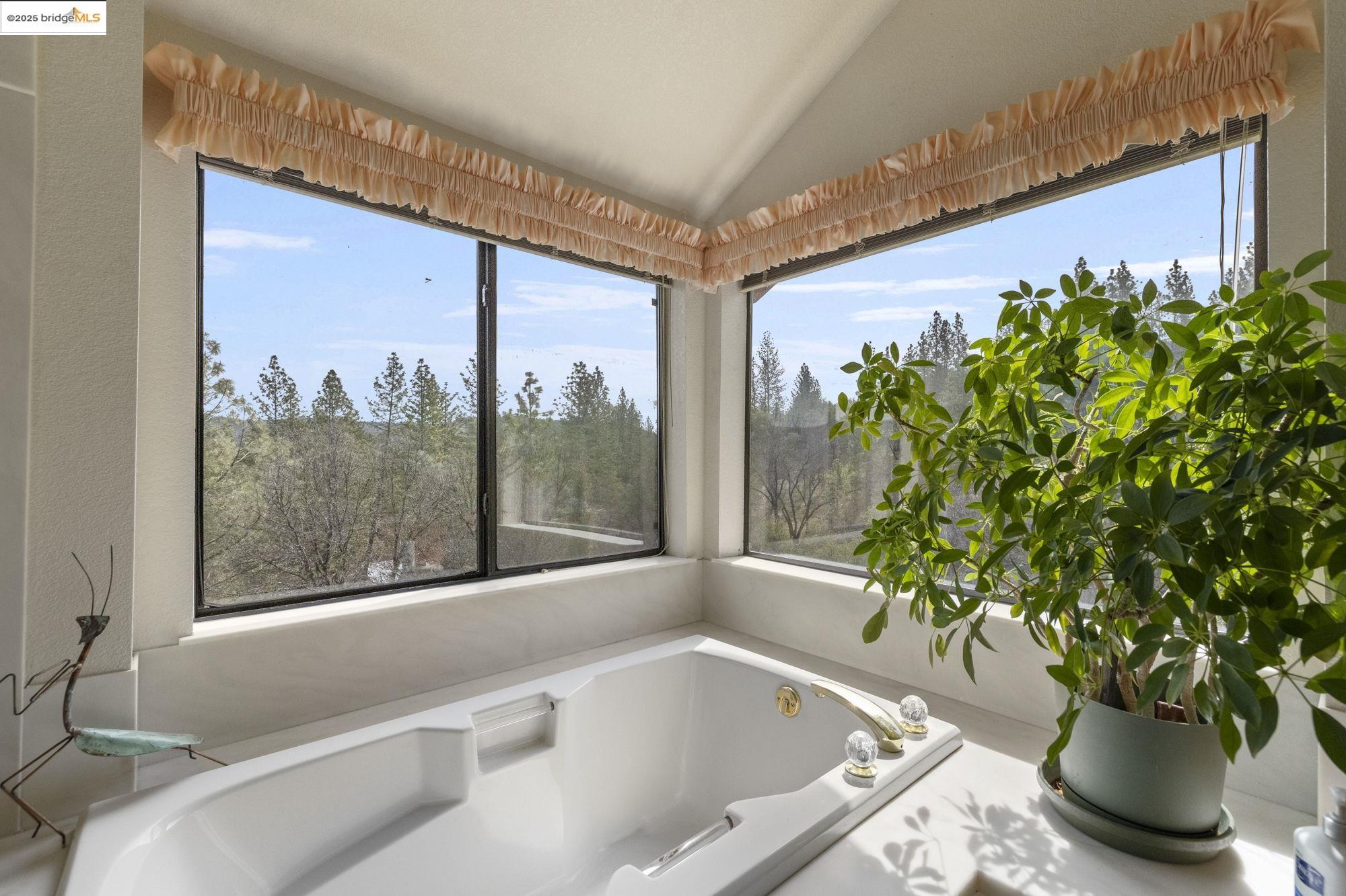 21320 Oneto Dr, Sonora, California 95370, 3 Bedrooms Bedrooms, 3 Rooms Rooms,4 BathroomsBathrooms,Residential,For Sale,21320 Oneto Dr,41106842