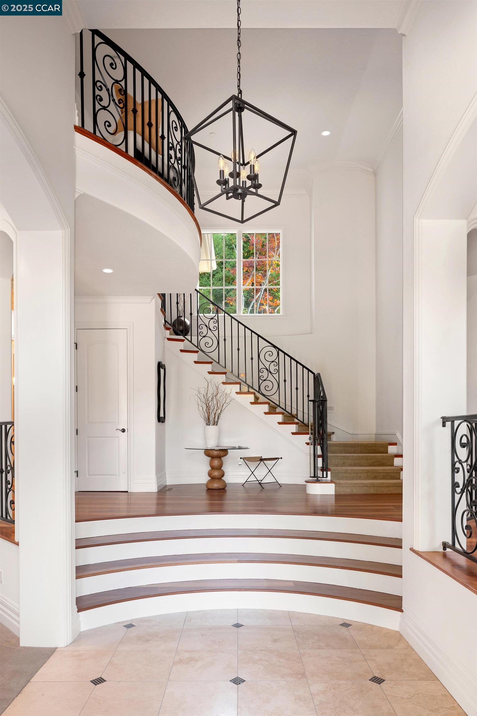 147 Camellia Ln, Lafayette, California 94549, 5 Bedrooms Bedrooms, 15 Rooms Rooms,4 BathroomsBathrooms,Residential,For Sale,147 Camellia Ln,41106851