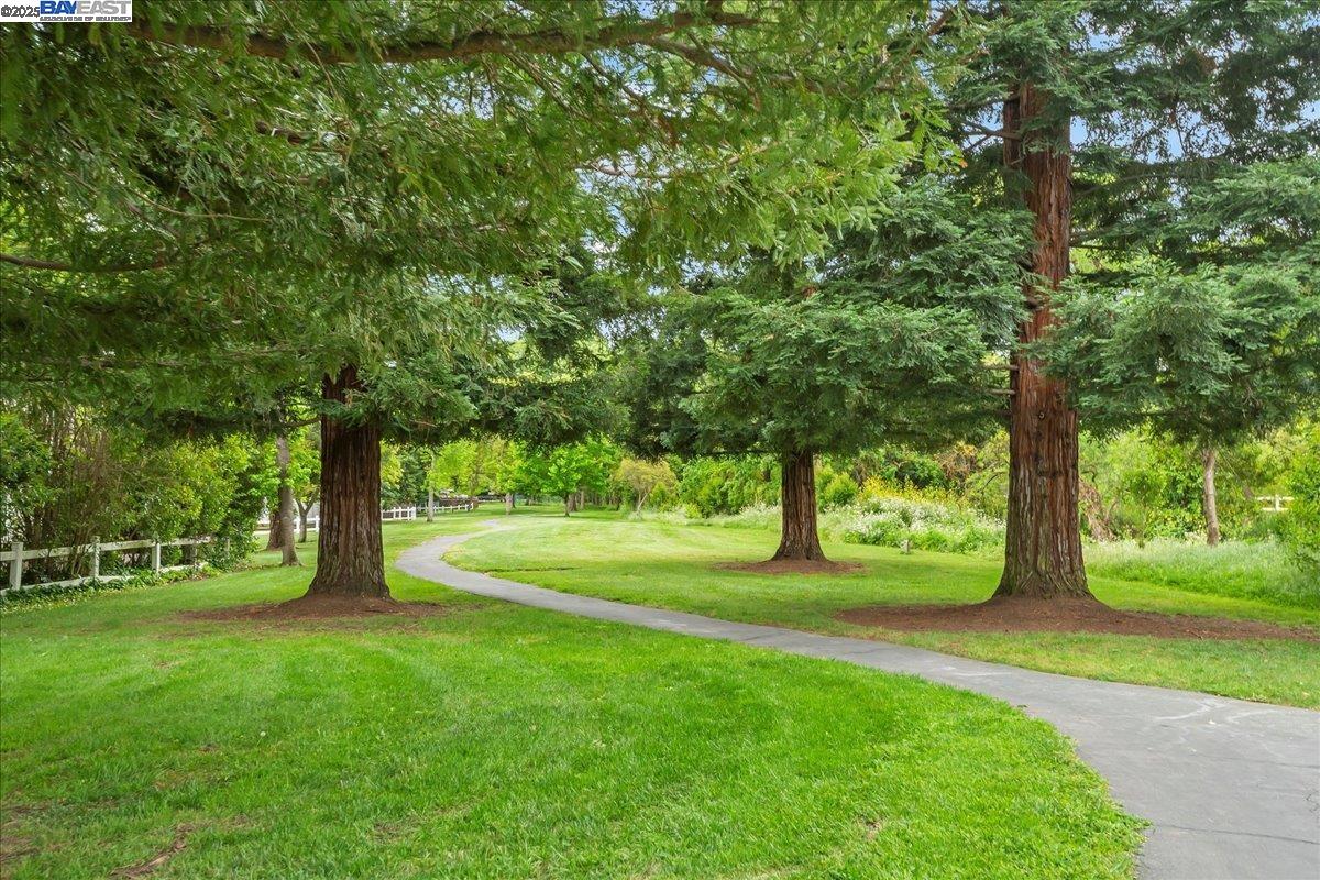 112 Baldwin Dr, Danville, California 94526, 3 Bedrooms Bedrooms, 9 Rooms Rooms,2 BathroomsBathrooms,Residential,For Sale,112 Baldwin Dr,41106852