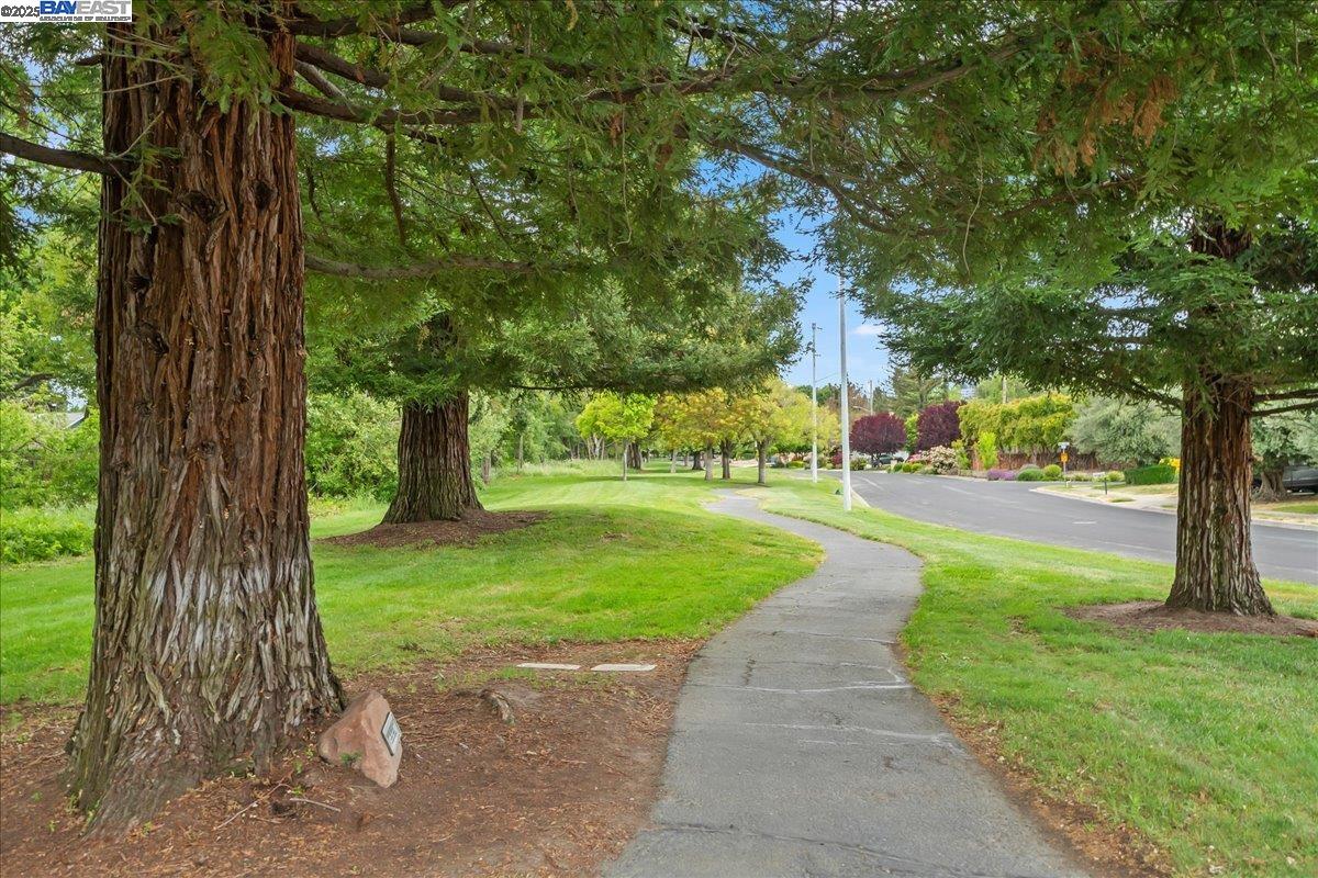 112 Baldwin Dr, Danville, California 94526, 3 Bedrooms Bedrooms, 9 Rooms Rooms,2 BathroomsBathrooms,Residential,For Sale,112 Baldwin Dr,41106852