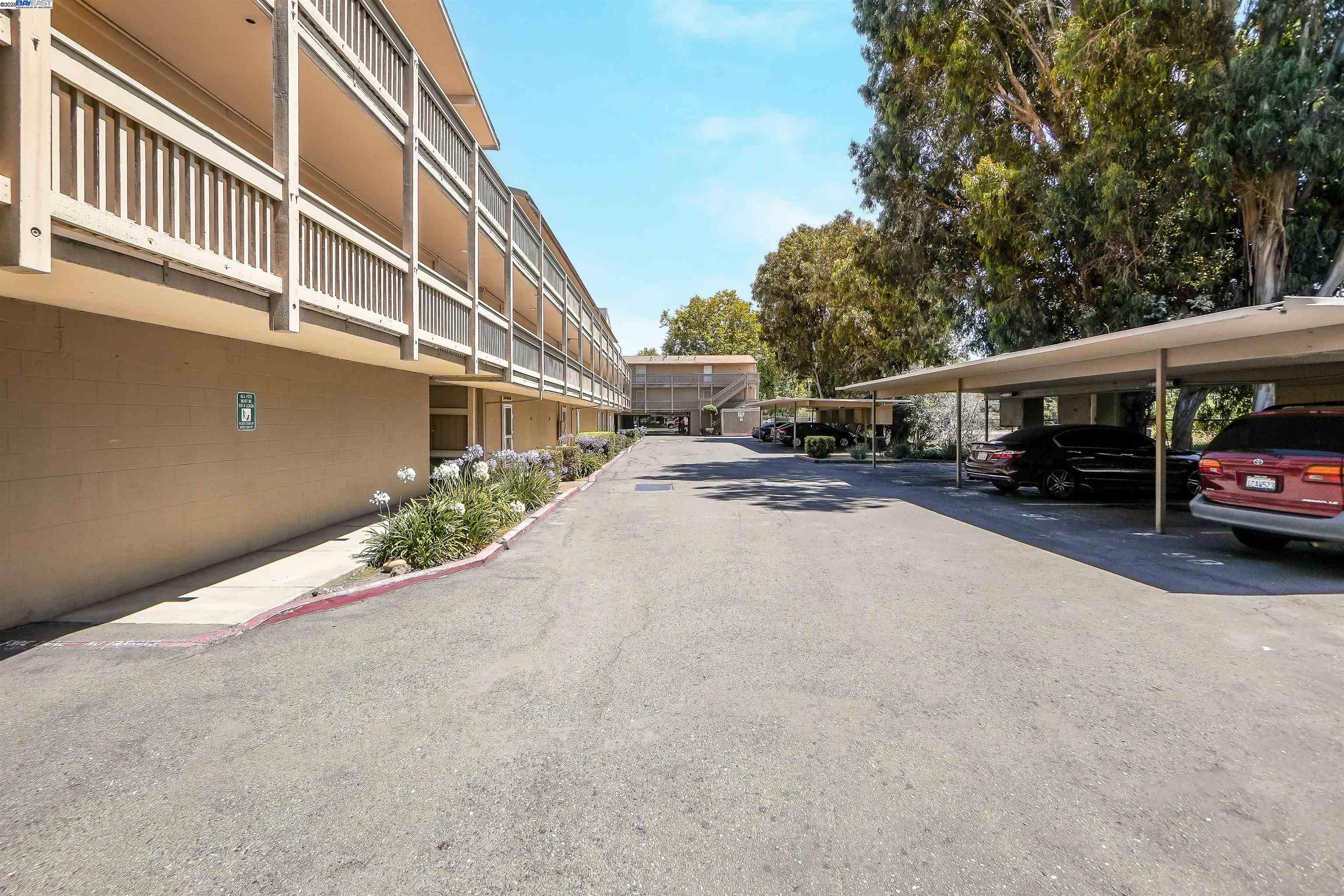 Photo #3: 41106873 Listing 