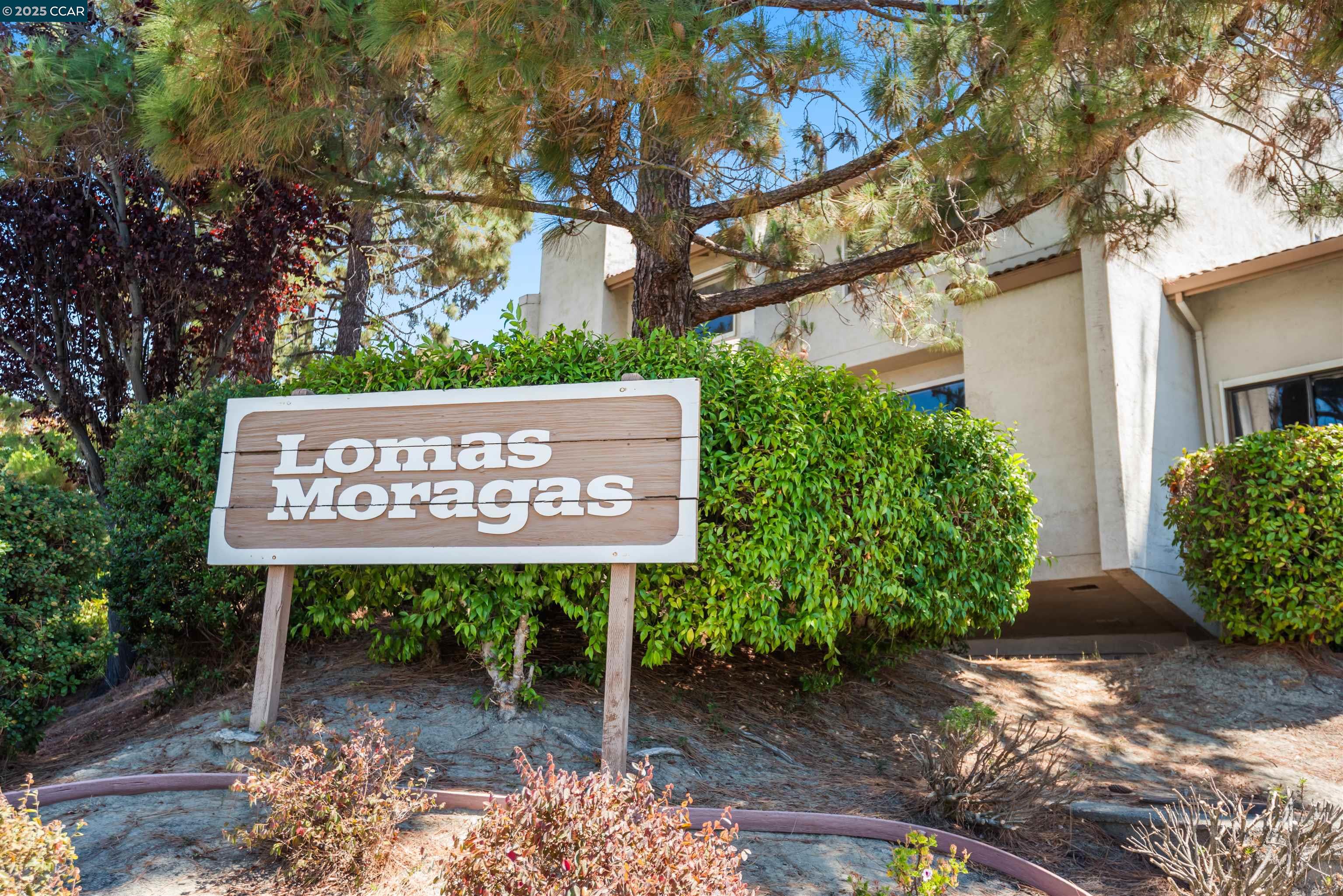 1541 Moraga way, Moraga, California 94556, 3 Bedrooms Bedrooms, 9 Rooms Rooms,2 BathroomsBathrooms,Residential,For Sale,1541 Moraga way,41106896