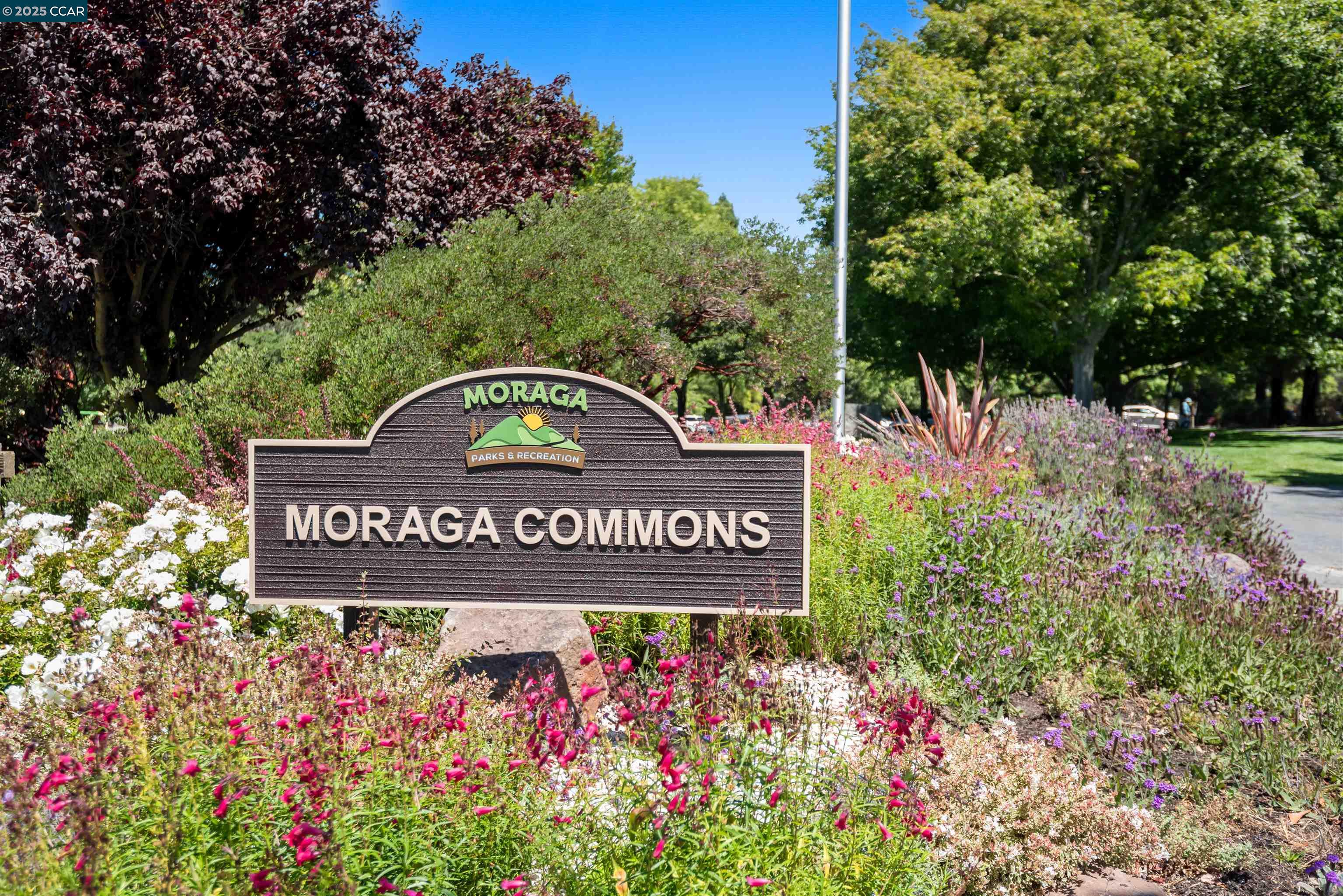 1541 Moraga way, Moraga, California 94556, 3 Bedrooms Bedrooms, 9 Rooms Rooms,2 BathroomsBathrooms,Residential,For Sale,1541 Moraga way,41106896