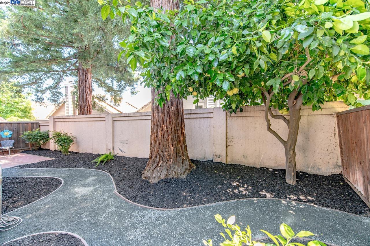 Photo #27: 41106916 Listing: Photo #27