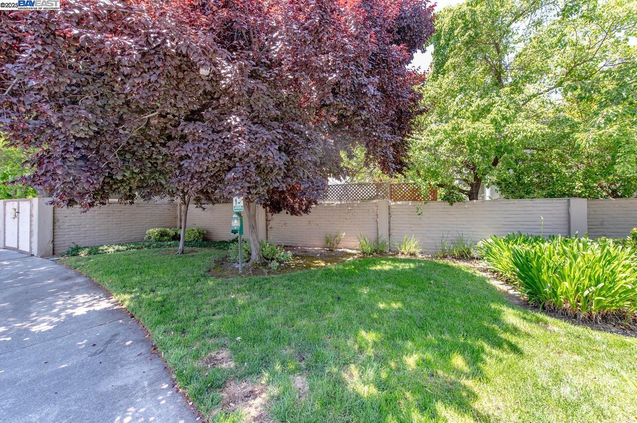 Photo #30: 41106916 Listing: Photo #30