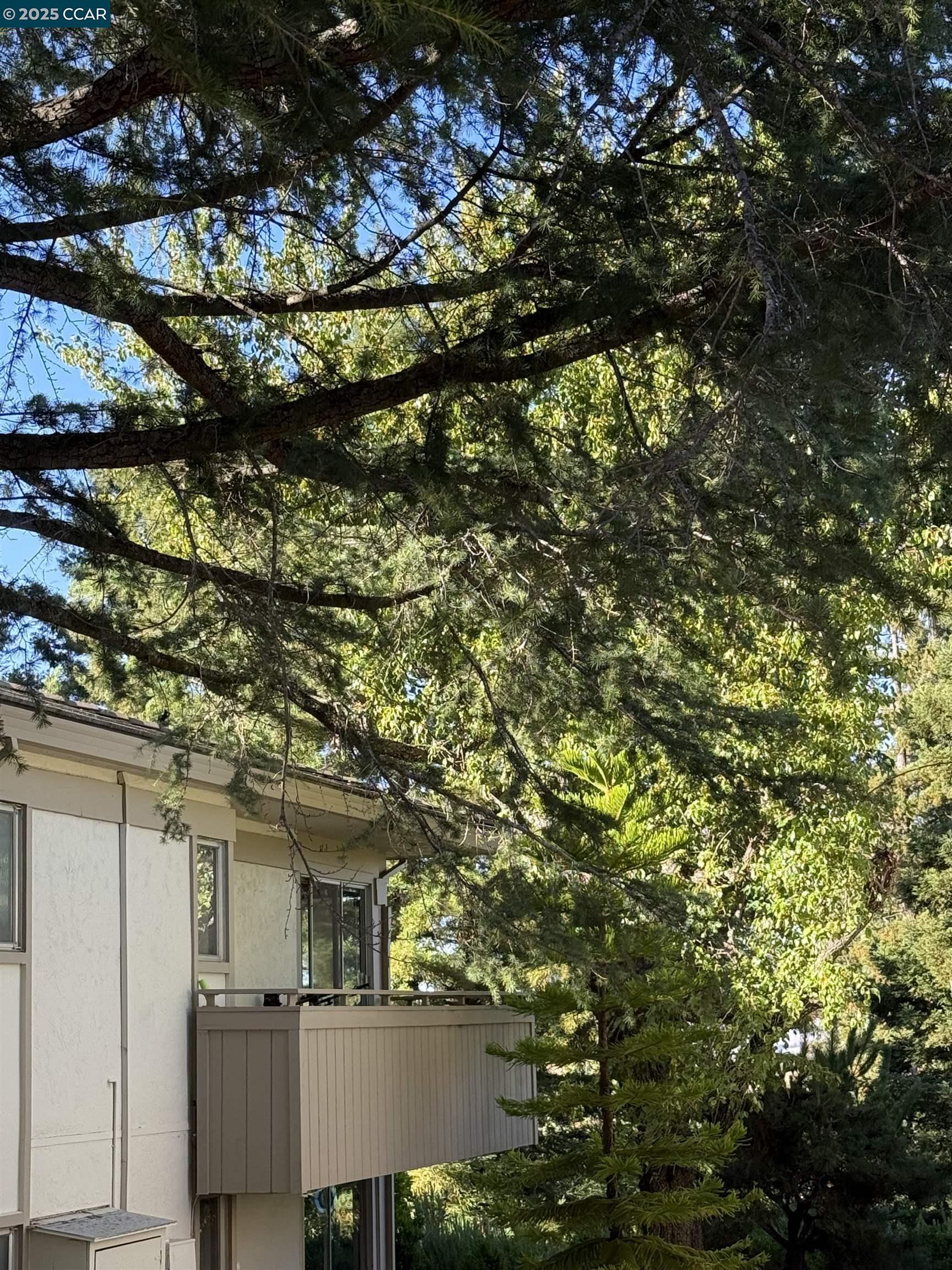 Detail Gallery Image 1 of 1 For 2825 Ptarmigan #3,  Walnut Creek,  CA 94595 - 2 Beds | 2 Baths