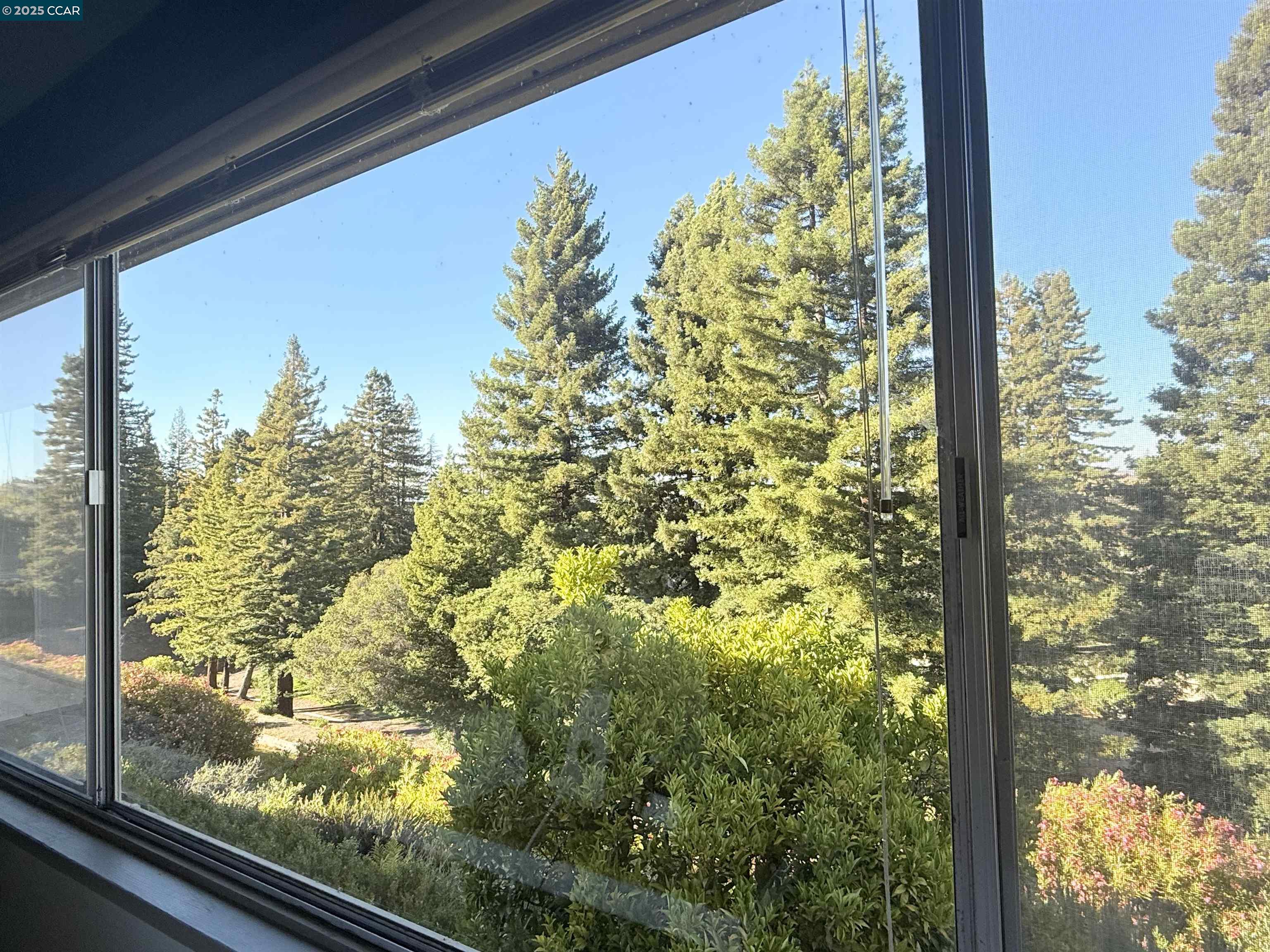 Photo #2: 41106926 Listing 