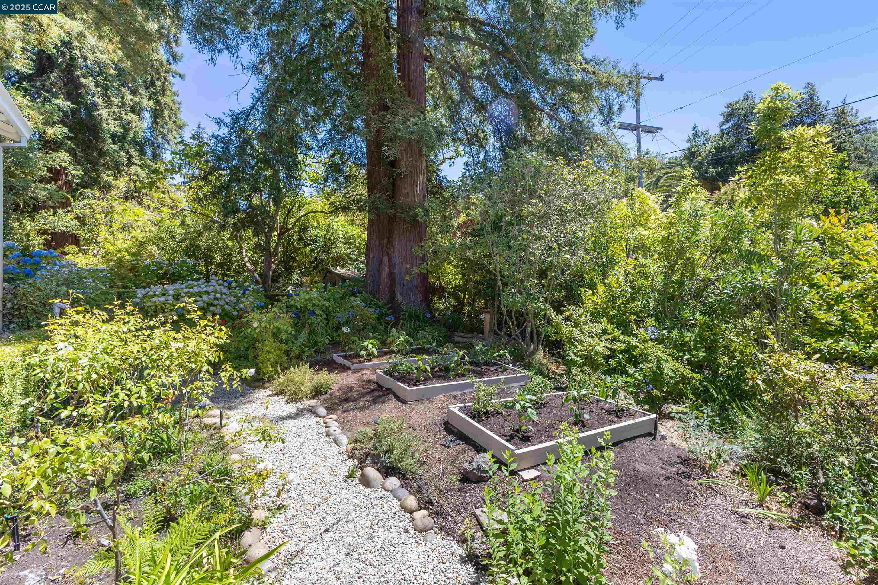 Detail Gallery Image 43 of 46 For 4 El Verano, Orinda,  CA 94563 - 4 Beds | 2/1 Baths
