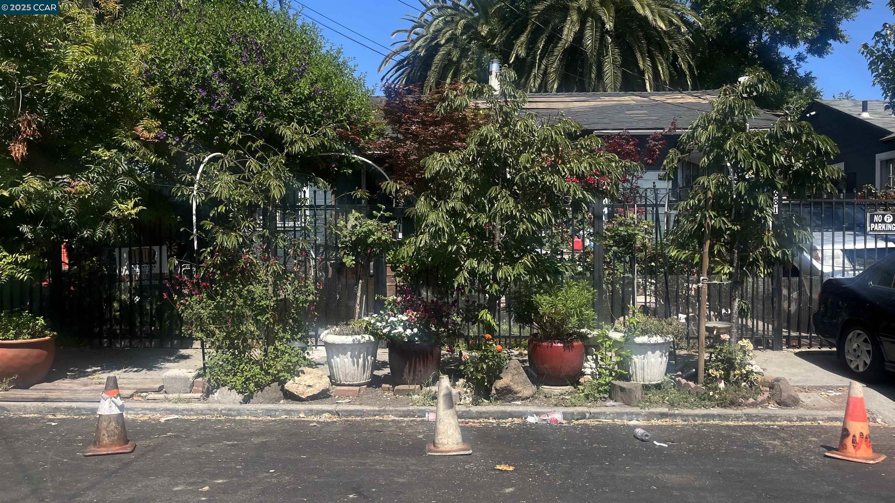 Front Image Thumbnail for CC41107054