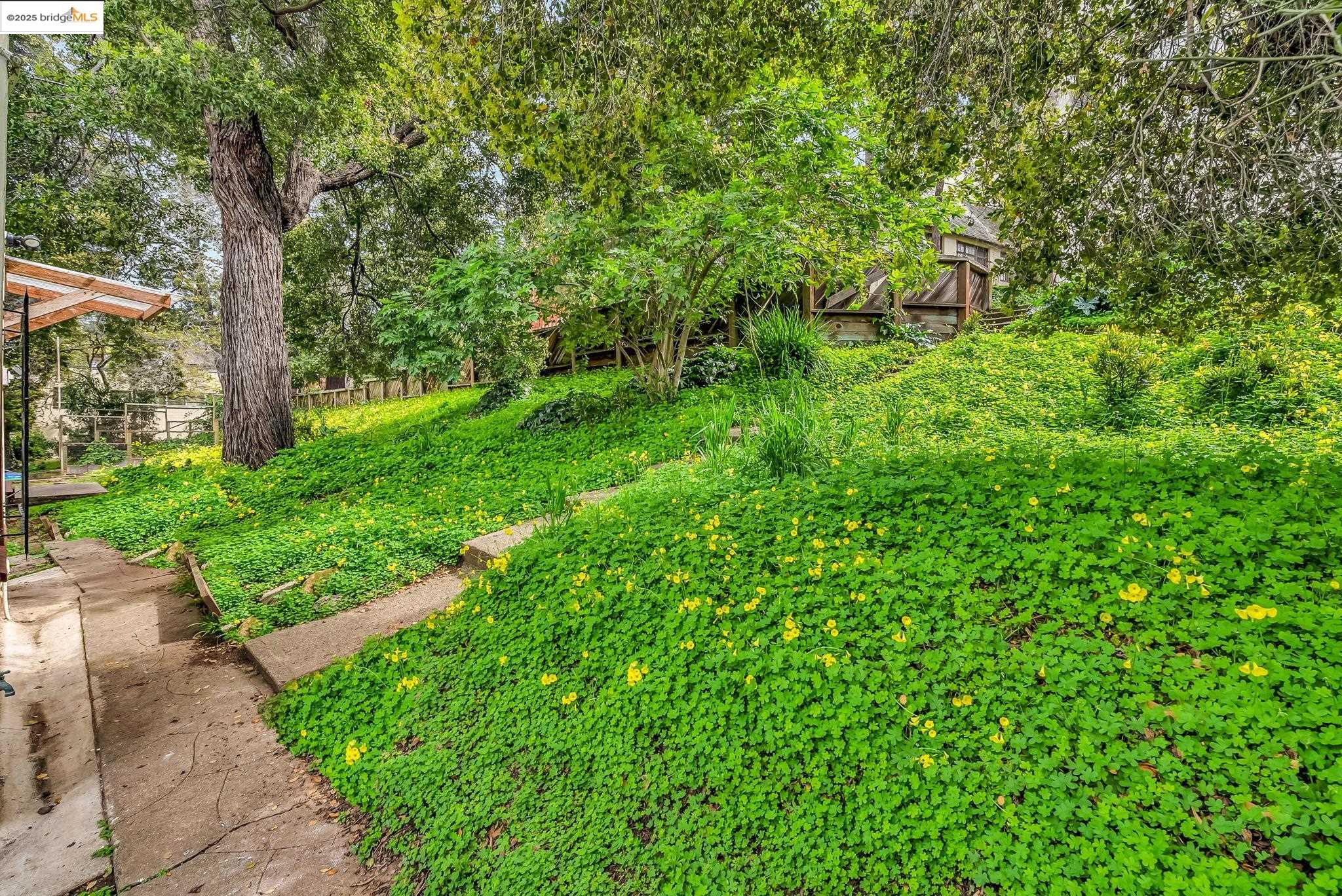 Detail Gallery Image 60 of 60 For 2340 Virginia St, Berkeley,  CA 94709 - – Beds | – Baths