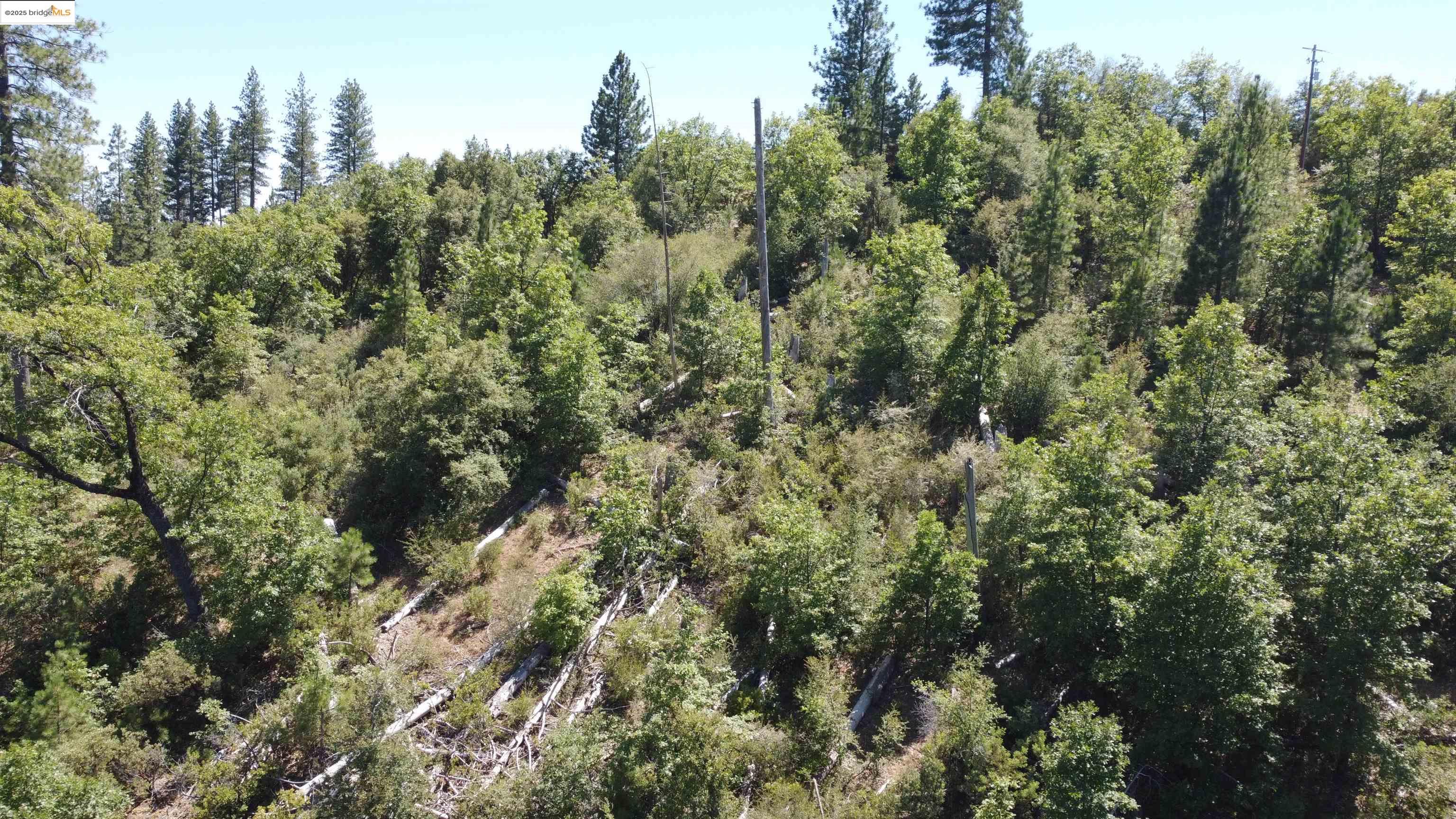 Detail Gallery Image 1 of 1 For , Tuolumne,  CA 95379 - – Beds | – Baths