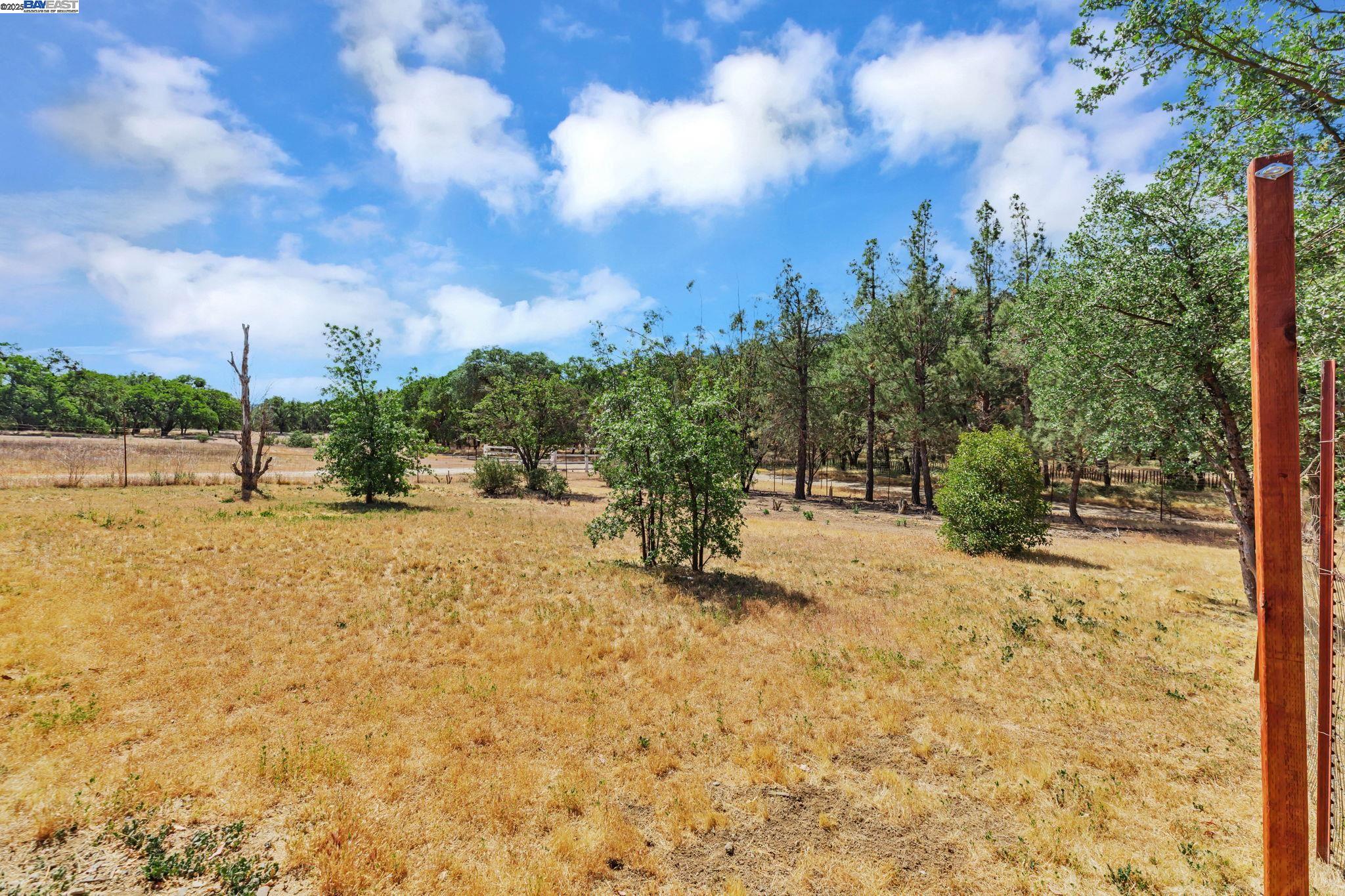 Detail Gallery Image 50 of 60 For 20104 Panoche Road, Paicines,  CA 95043 - 2 Beds | 2 Baths