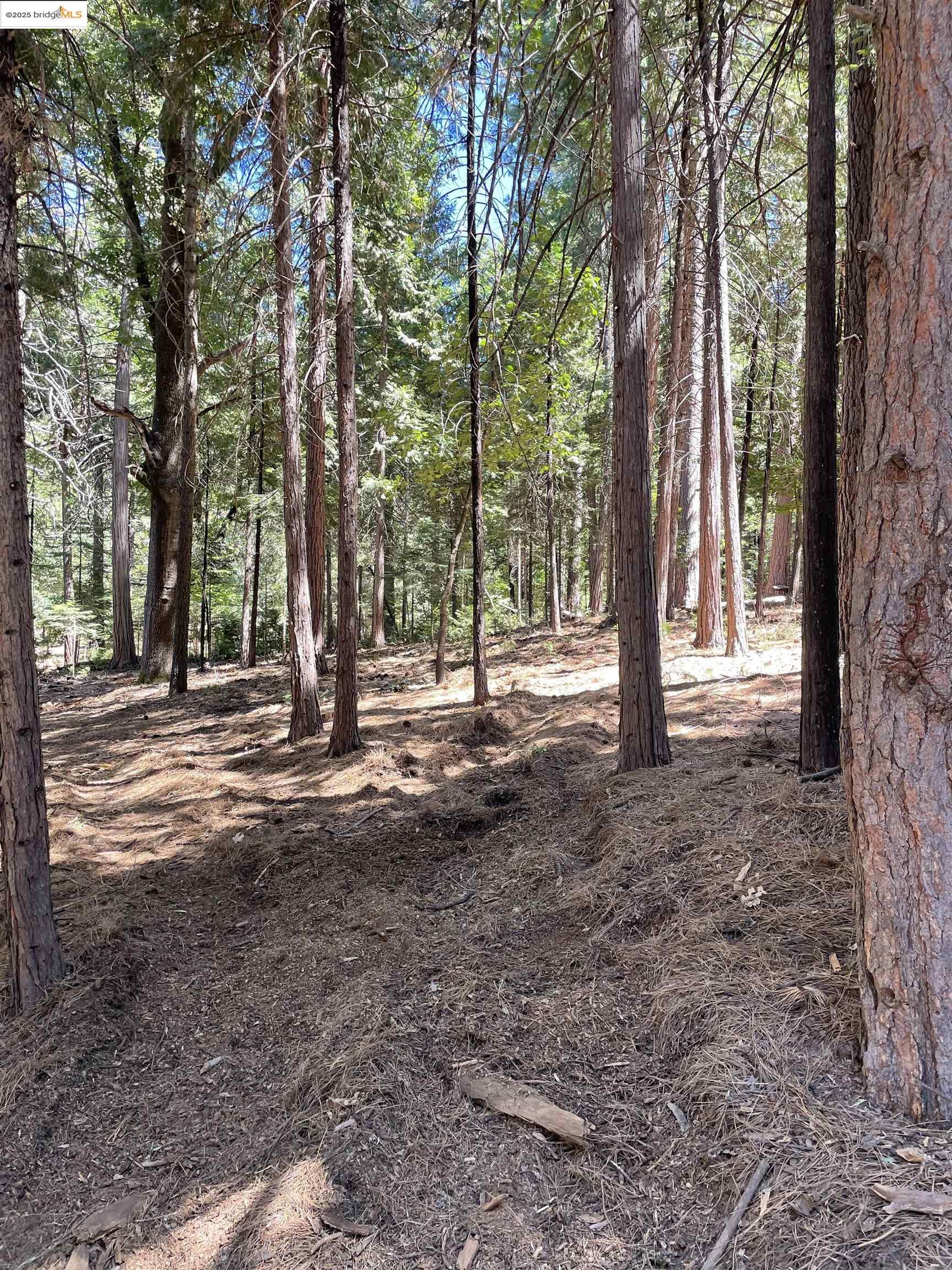 Detail Gallery Image 1 of 1 For 23682 Buckeye Circle, Twain Harte,  CA 95383 - – Beds | – Baths
