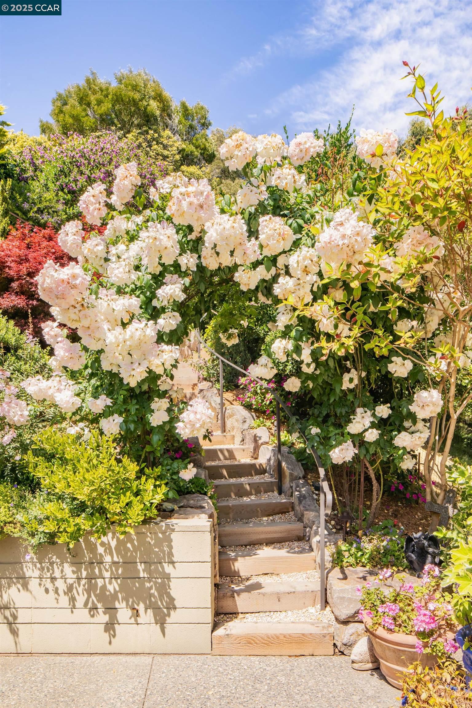 Detail Gallery Image 28 of 34 For 5474 La Salle Ave, Oakland,  CA 94611 - 3 Beds | 2/1 Baths