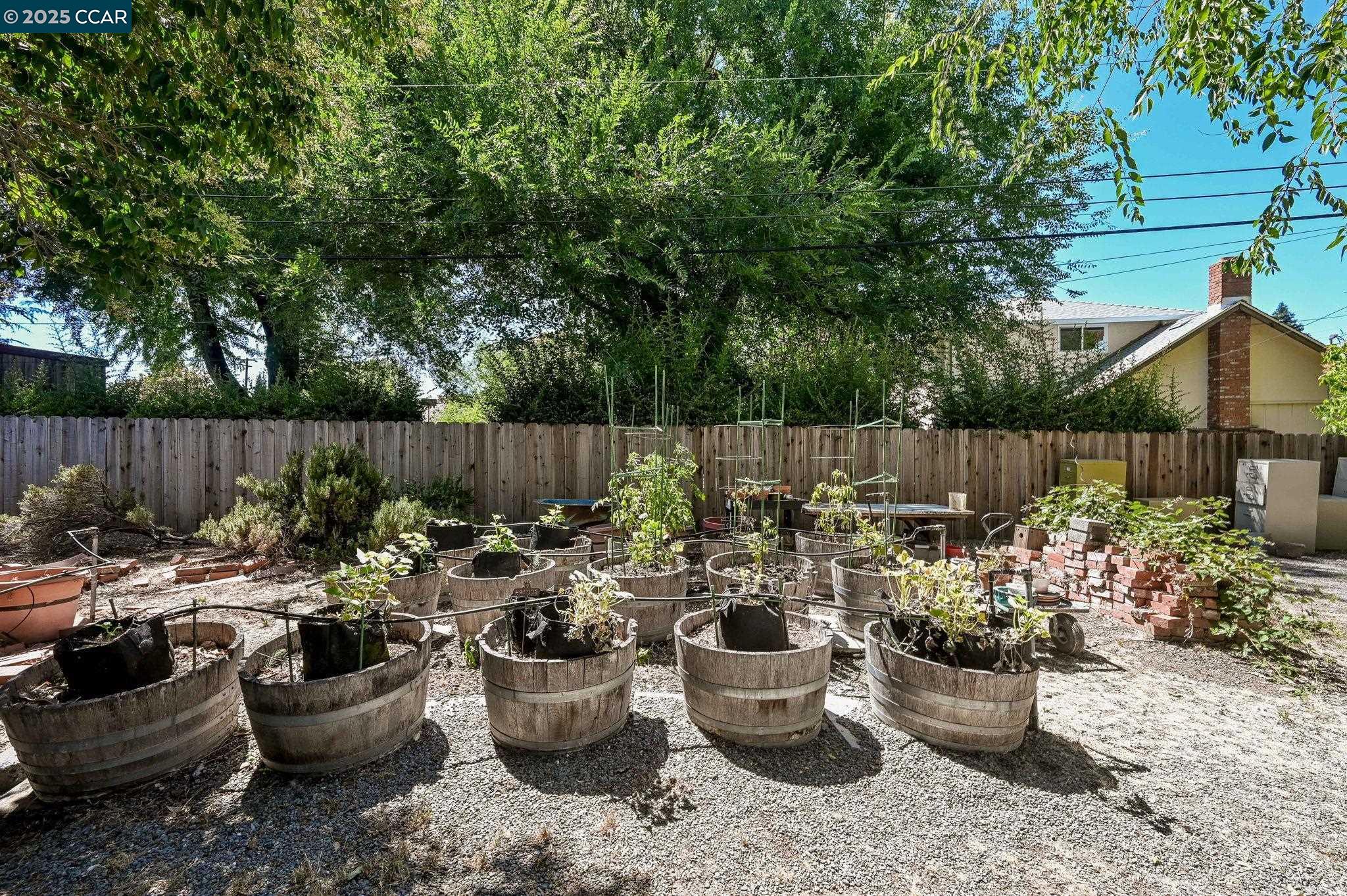 Detail Gallery Image 40 of 43 For 865 Walnut Ave, Walnut Creek,  CA 94598 - 6 Beds | 3/1 Baths