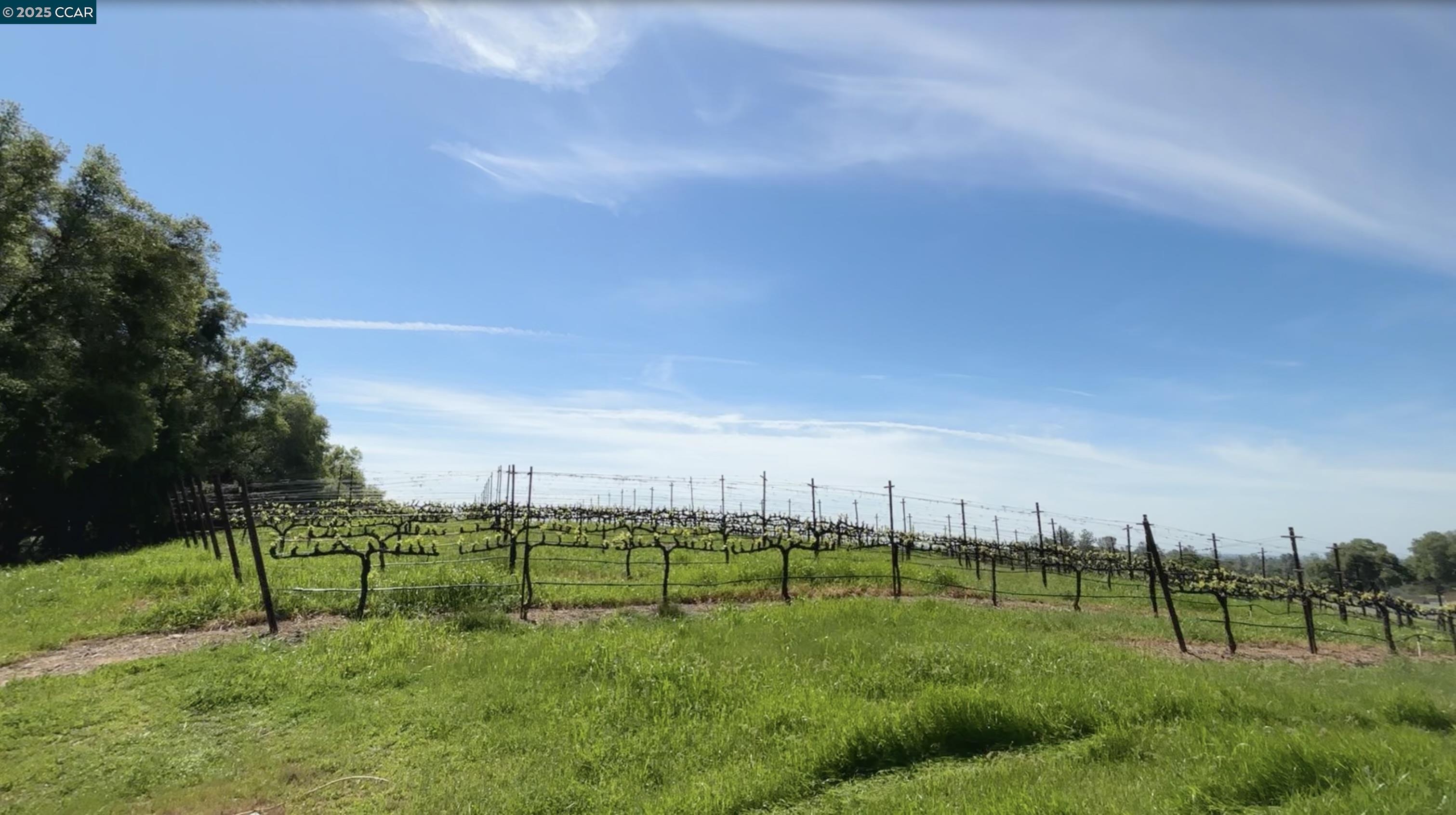 Detail Gallery Image 5 of 28 For 15000 Tyler Road, Fiddletown,  CA 95629 - 3 Beds | 3/1 Baths