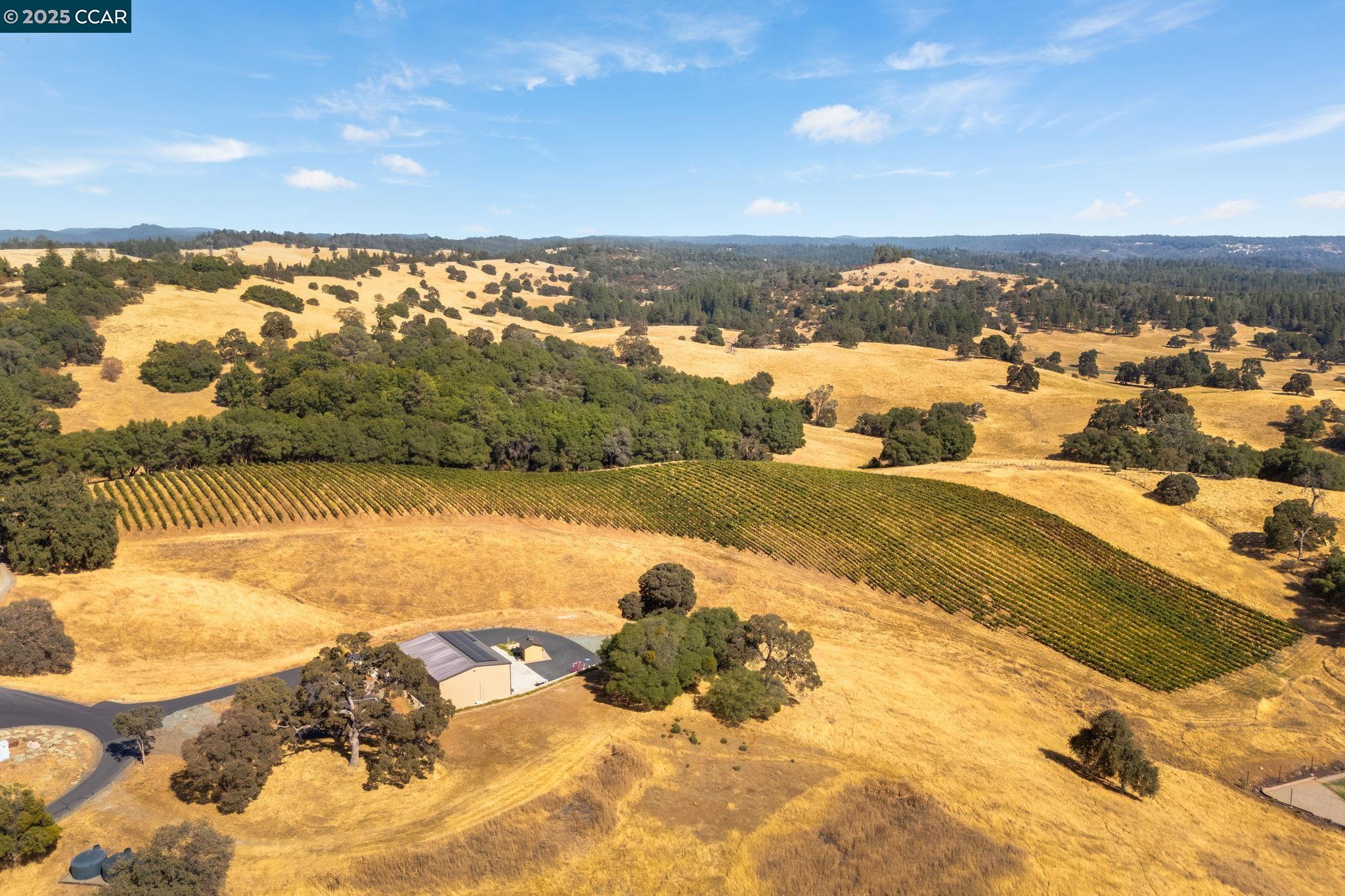 Detail Gallery Image 43 of 60 For 15000 Tyler Road, Fiddletown,  CA 95629 - 3 Beds | 3/1 Baths