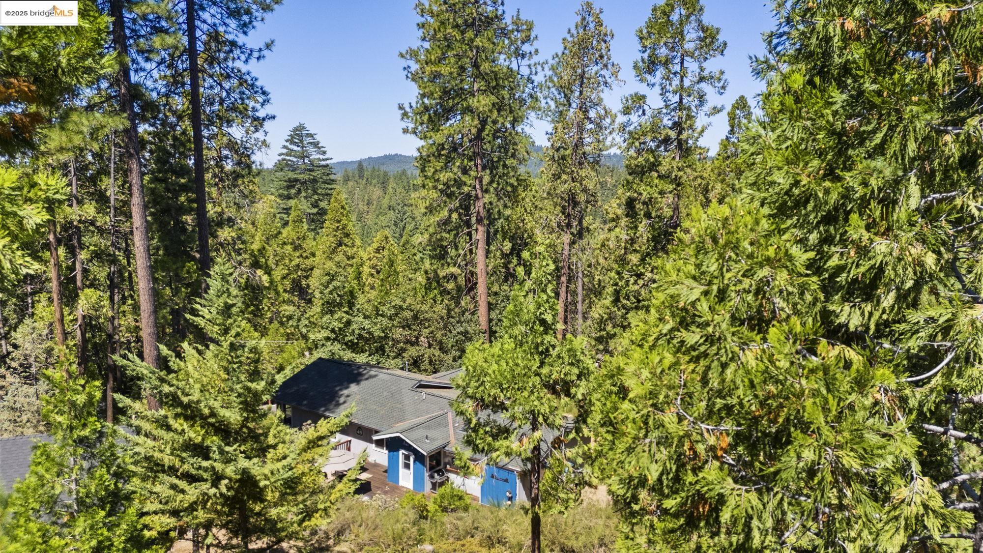 Detail Gallery Image 31 of 37 For 22699 Tamarack Dr, Twain Harte,  CA 95383 - 3 Beds | 2 Baths