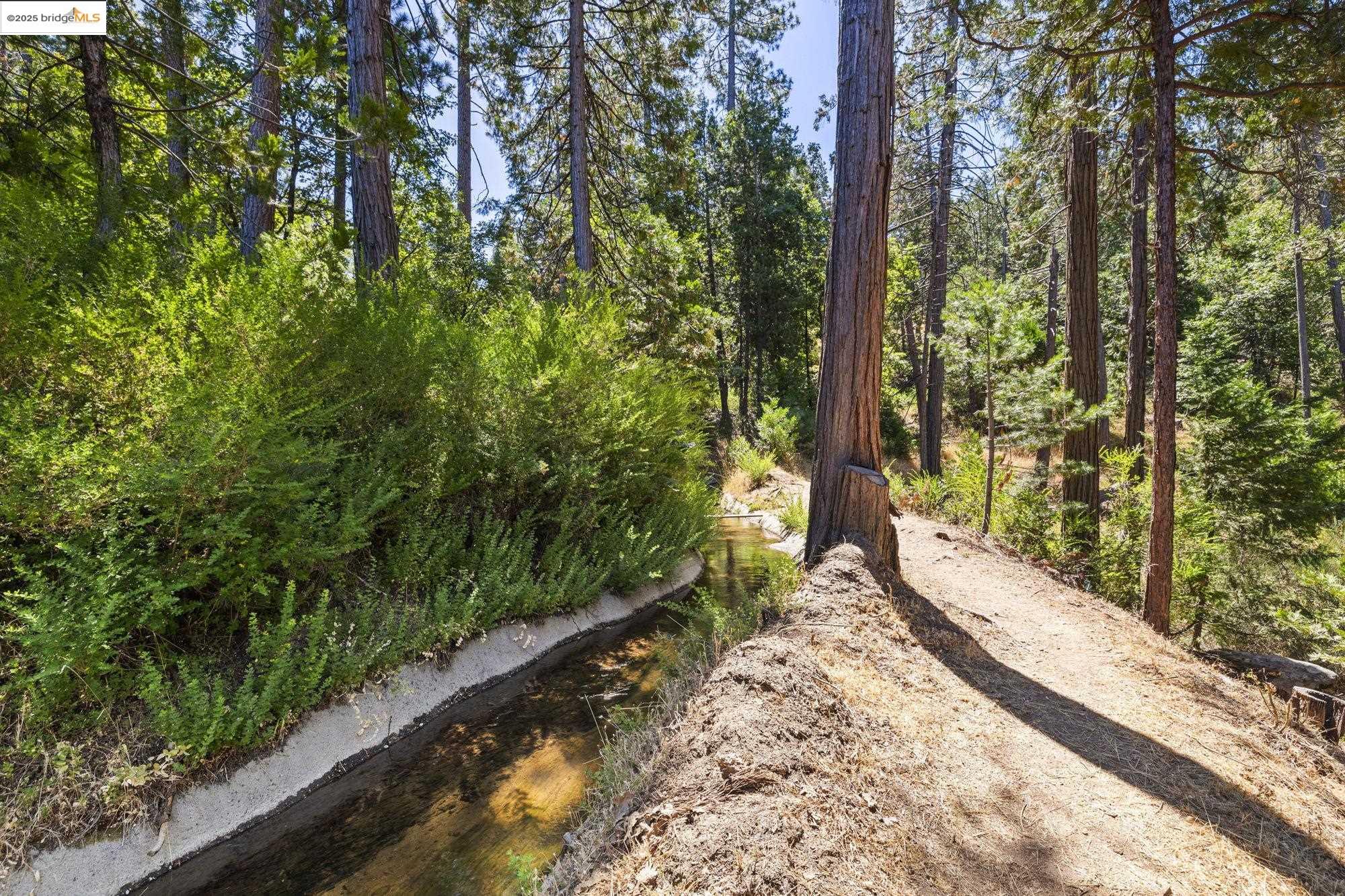 Detail Gallery Image 34 of 37 For 22699 Tamarack Dr, Twain Harte,  CA 95383 - 3 Beds | 2 Baths