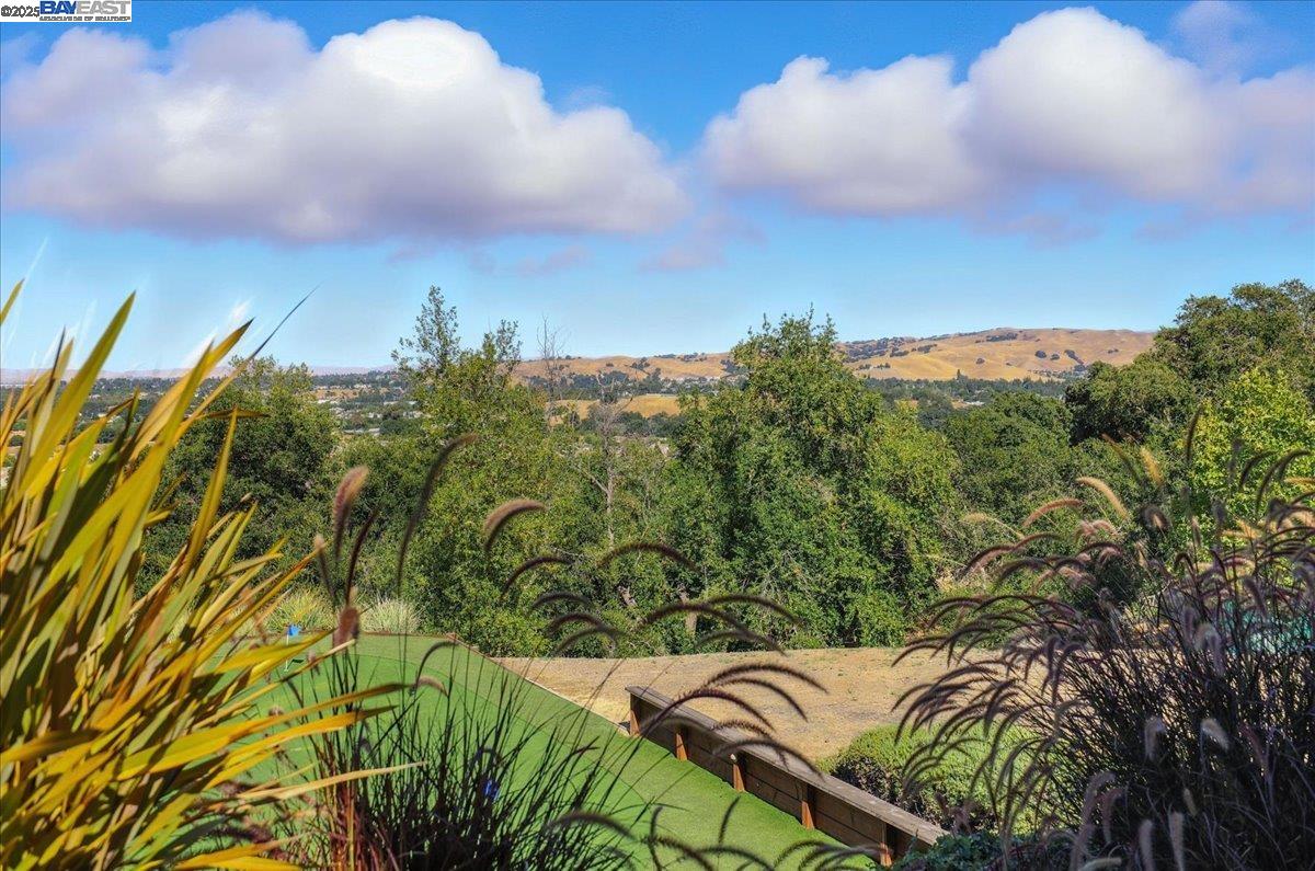 Detail Gallery Image 53 of 60 For 2109 Black Oak Ct, Pleasanton,  CA 94588 - 5 Beds | 5/1 Baths