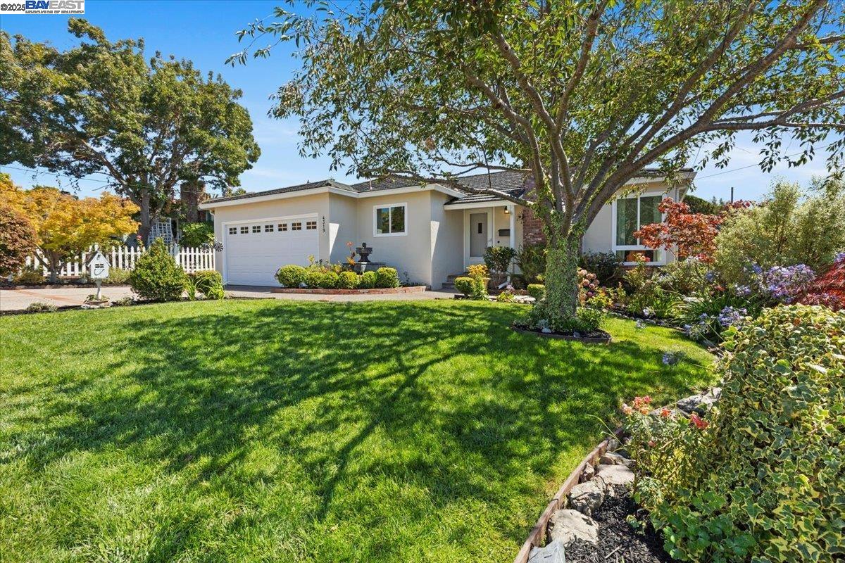 Detail Gallery Image 1 of 25 For 4319 Shamrock Way, Castro Valley,  CA 94546 - 3 Beds | 1/1 Baths