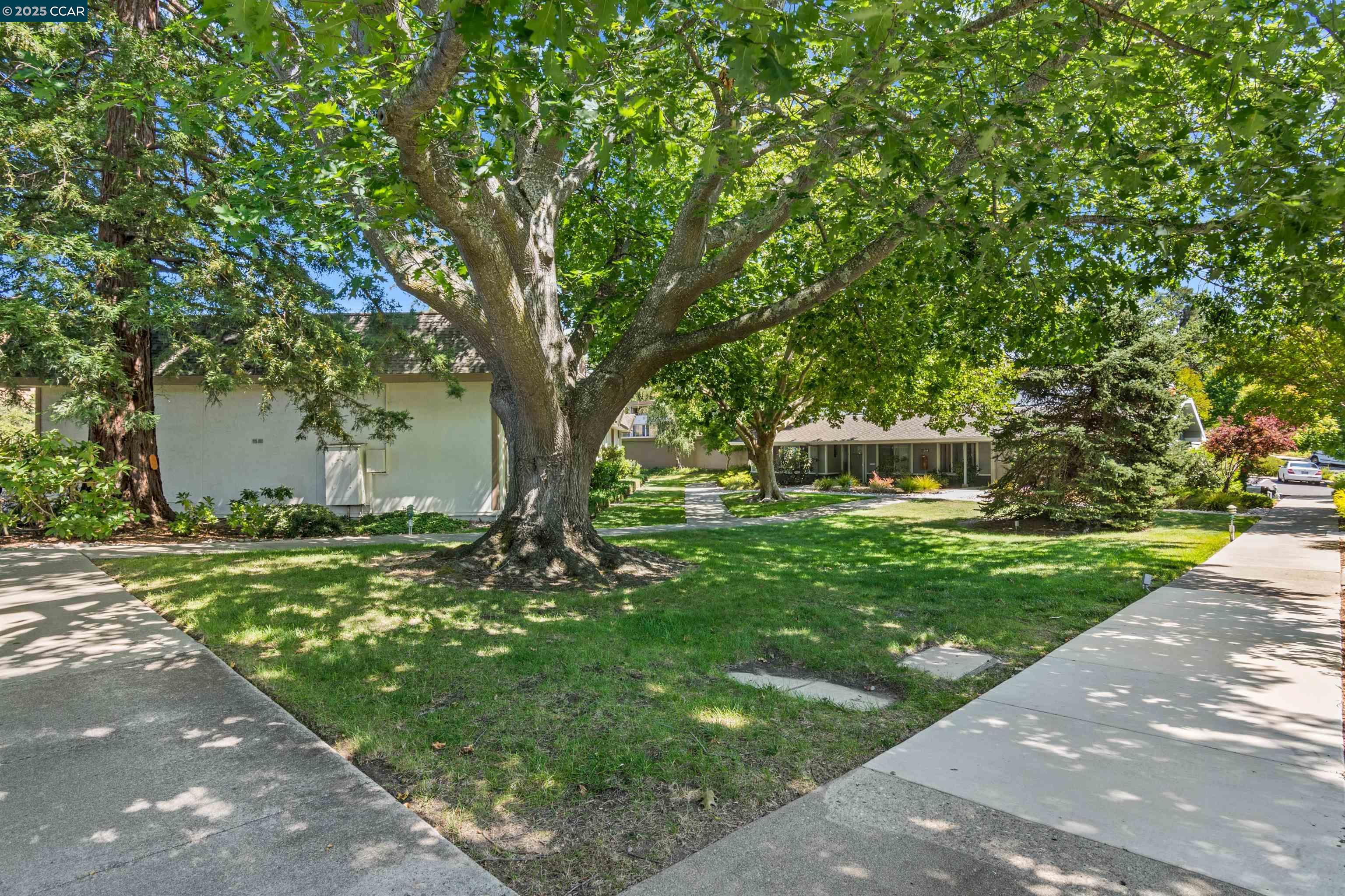 Photo #28: 41107151 Listing: Photo #28