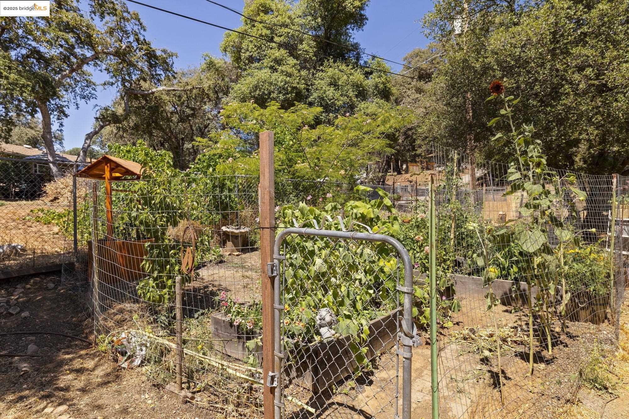 Detail Gallery Image 25 of 27 For 20369 E Walnut Dr, Sonora,  CA 95370 - 3 Beds | 2 Baths