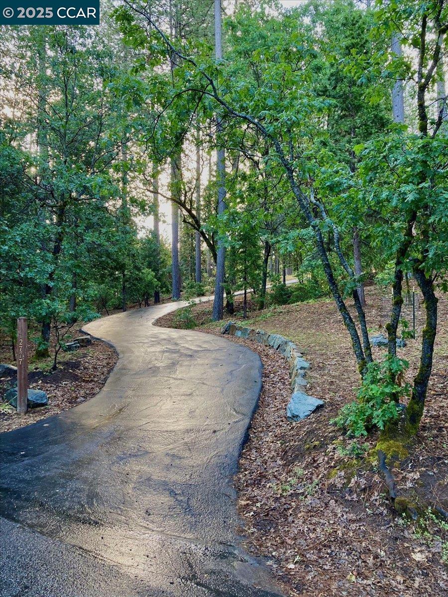 Detail Gallery Image 37 of 50 For 12777 Daisy Blue Mine Rd, Nevada City,  CA 95959 - 3 Beds | 2/1 Baths