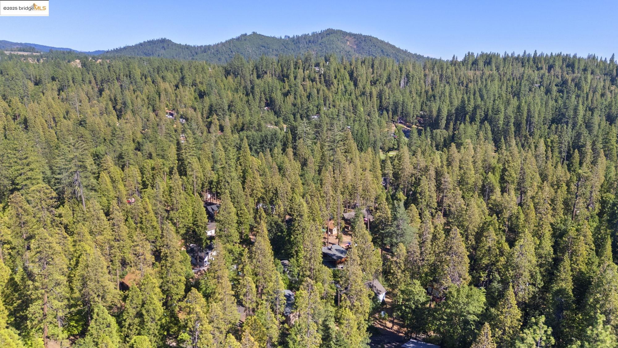 Detail Gallery Image 33 of 50 For 22856 Miners Ave, Twain Harte,  CA 95383 - 2 Beds | 2 Baths