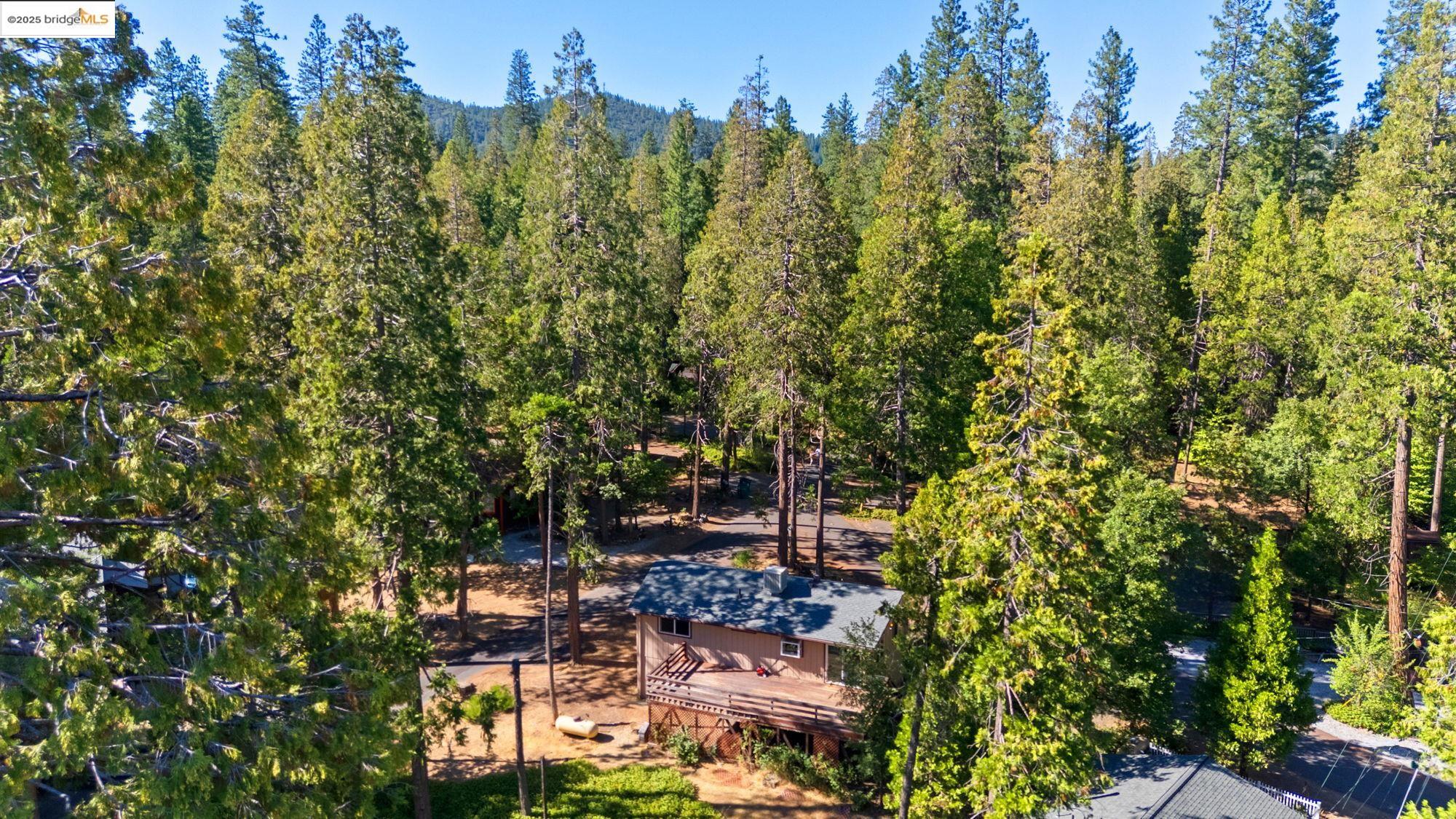 Detail Gallery Image 35 of 50 For 22856 Miners Ave, Twain Harte,  CA 95383 - 2 Beds | 2 Baths