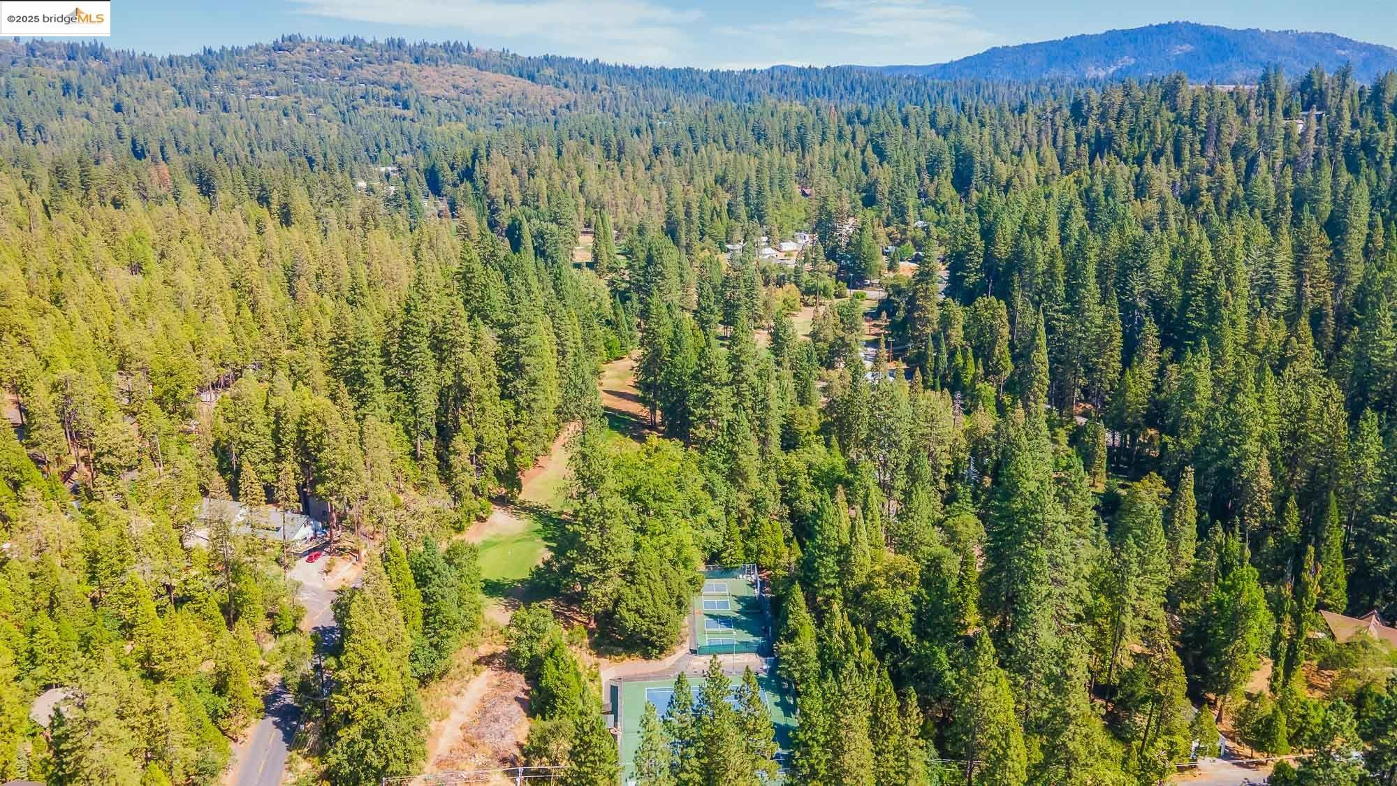 Detail Gallery Image 49 of 50 For 22856 Miners Ave, Twain Harte,  CA 95383 - 2 Beds | 2 Baths