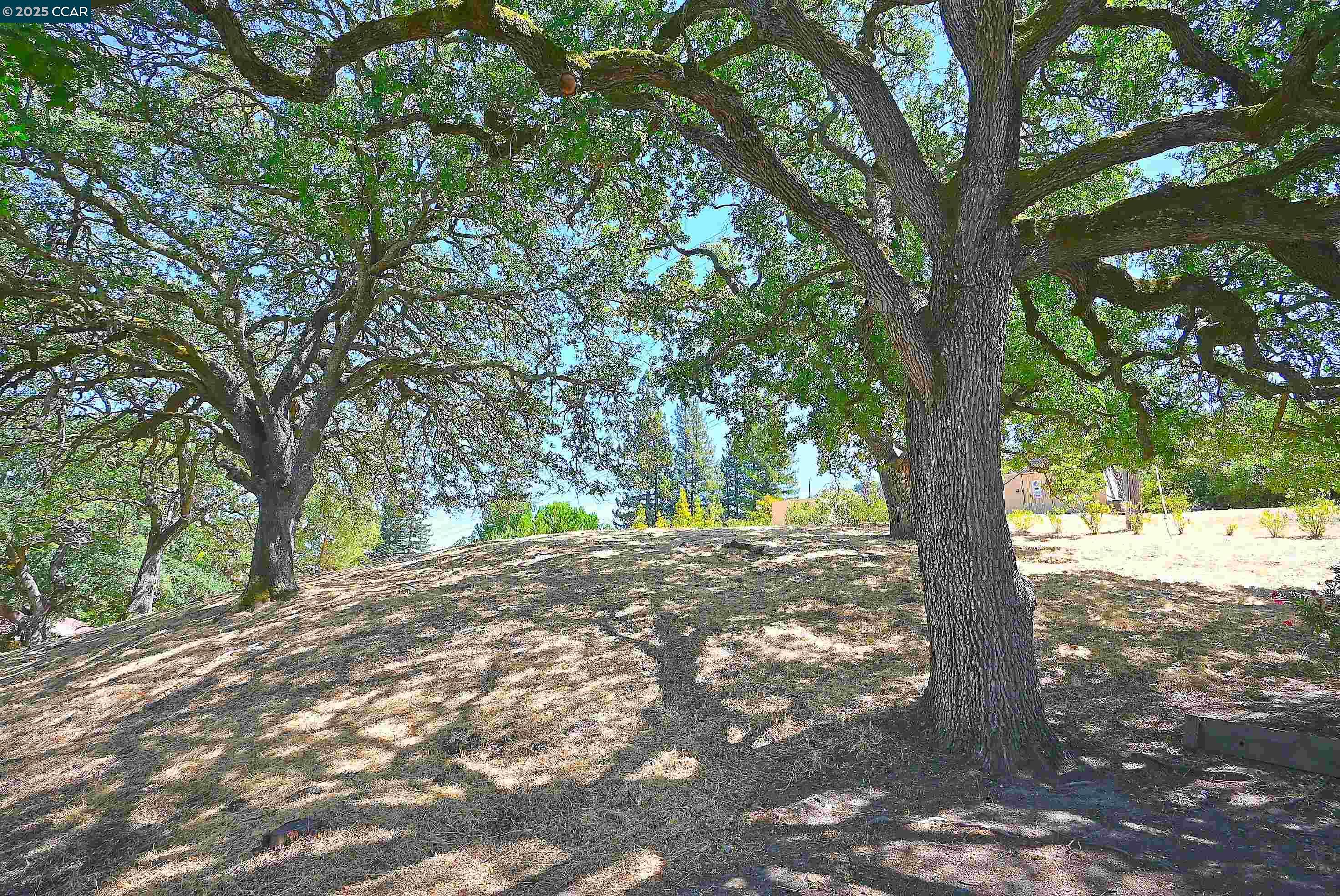 Photo #33: 41107243 Listing: Photo #33